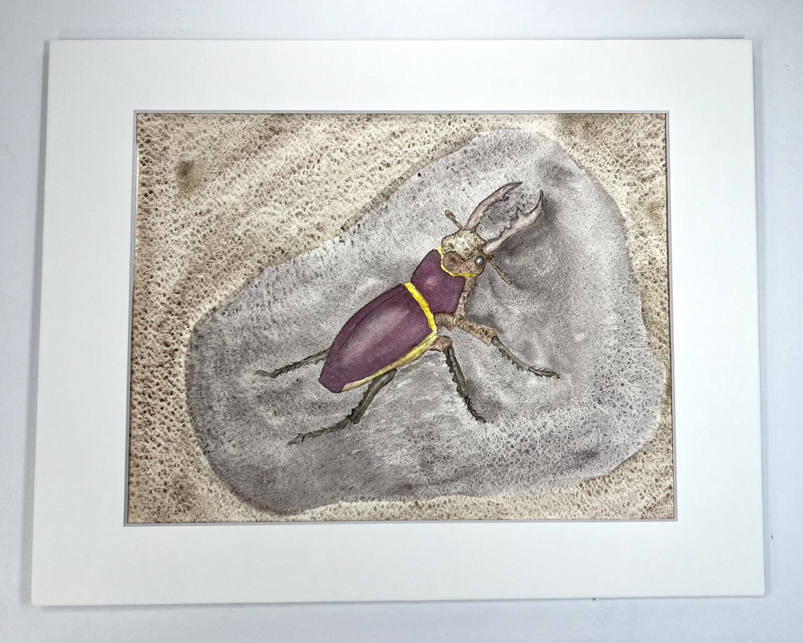 Stag Beetle Original Watercolor Painting 11×14” Unsigned Bill Cherones Art
