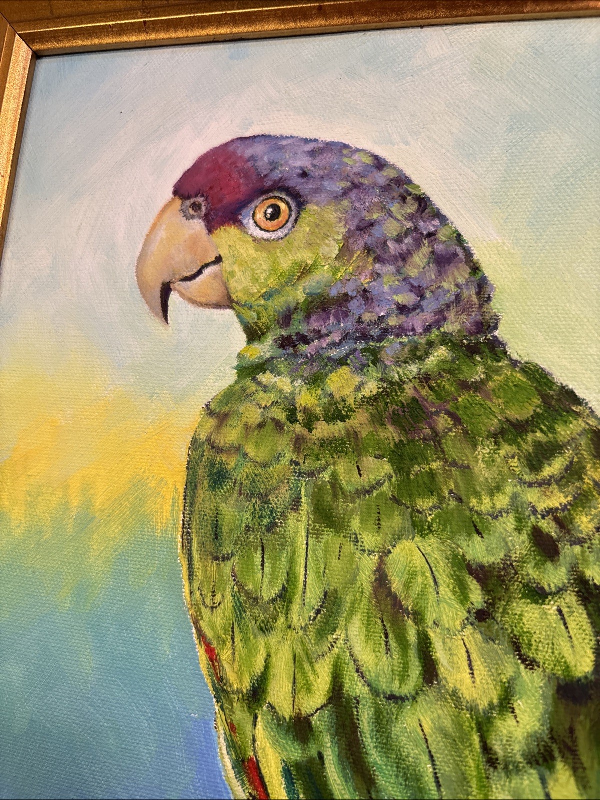 Framed Paint On Canvas Art Of A Parrot Signed By Artist. B. Carswell 16”-19”