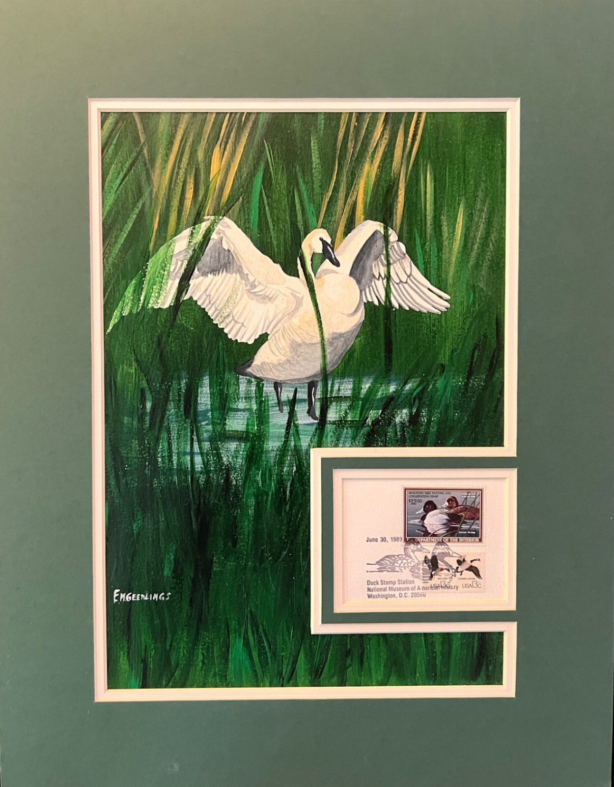 US Geerlings Original Watercolor Swan in reeds. With $12.50 Fed Duck stamp 1989