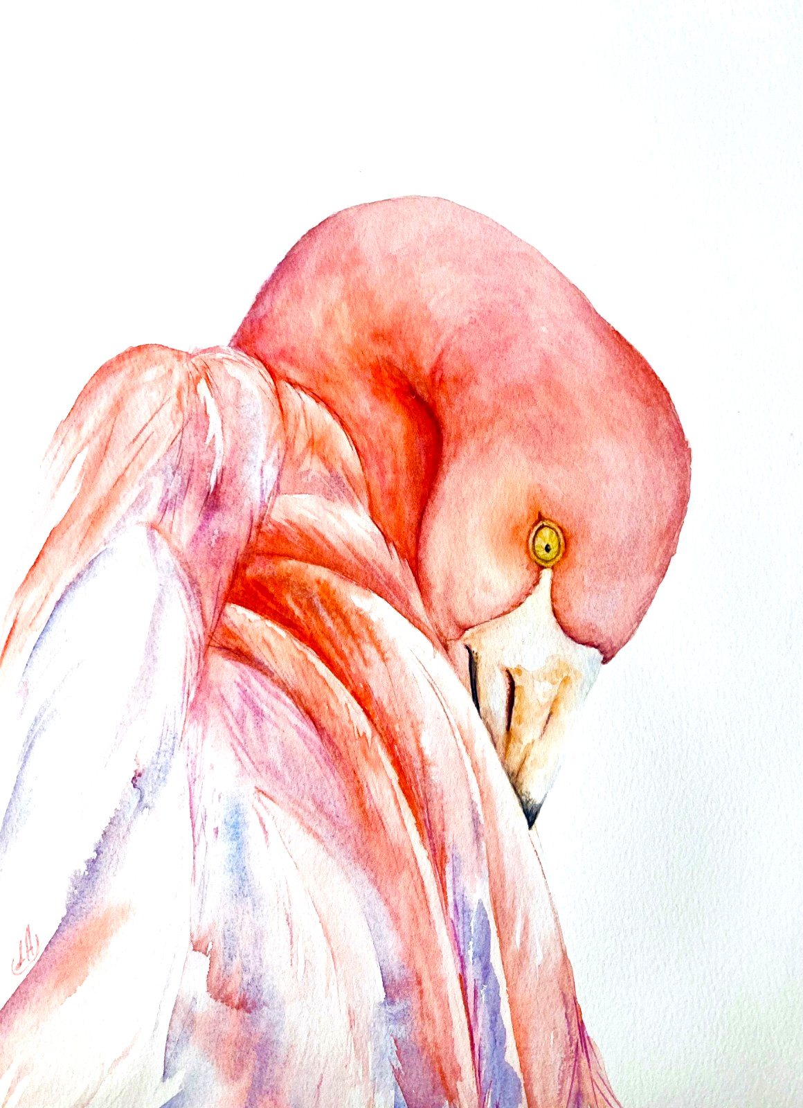 Flamingo Pink Bird Watercolor Painting Original Art Liz Altin