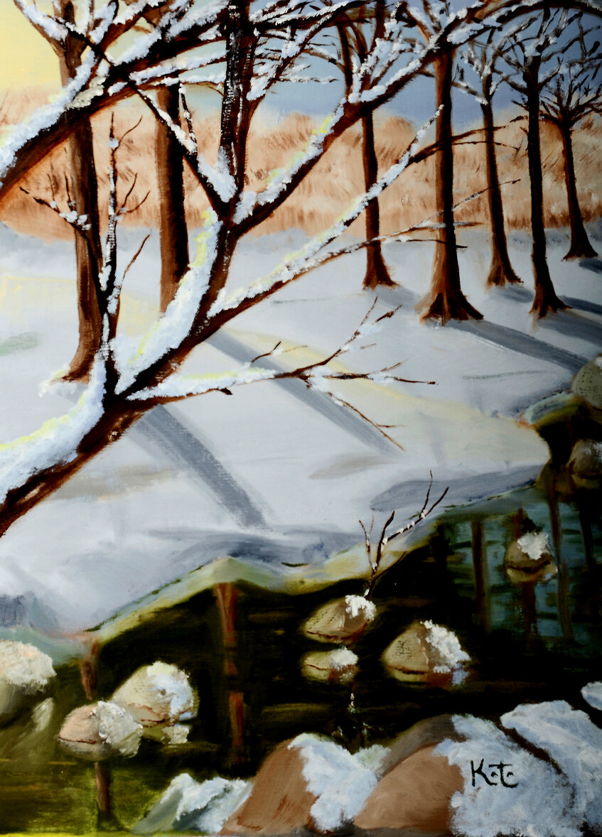 Stony Creek, Winter – My neighboring Creek has a mood for every season