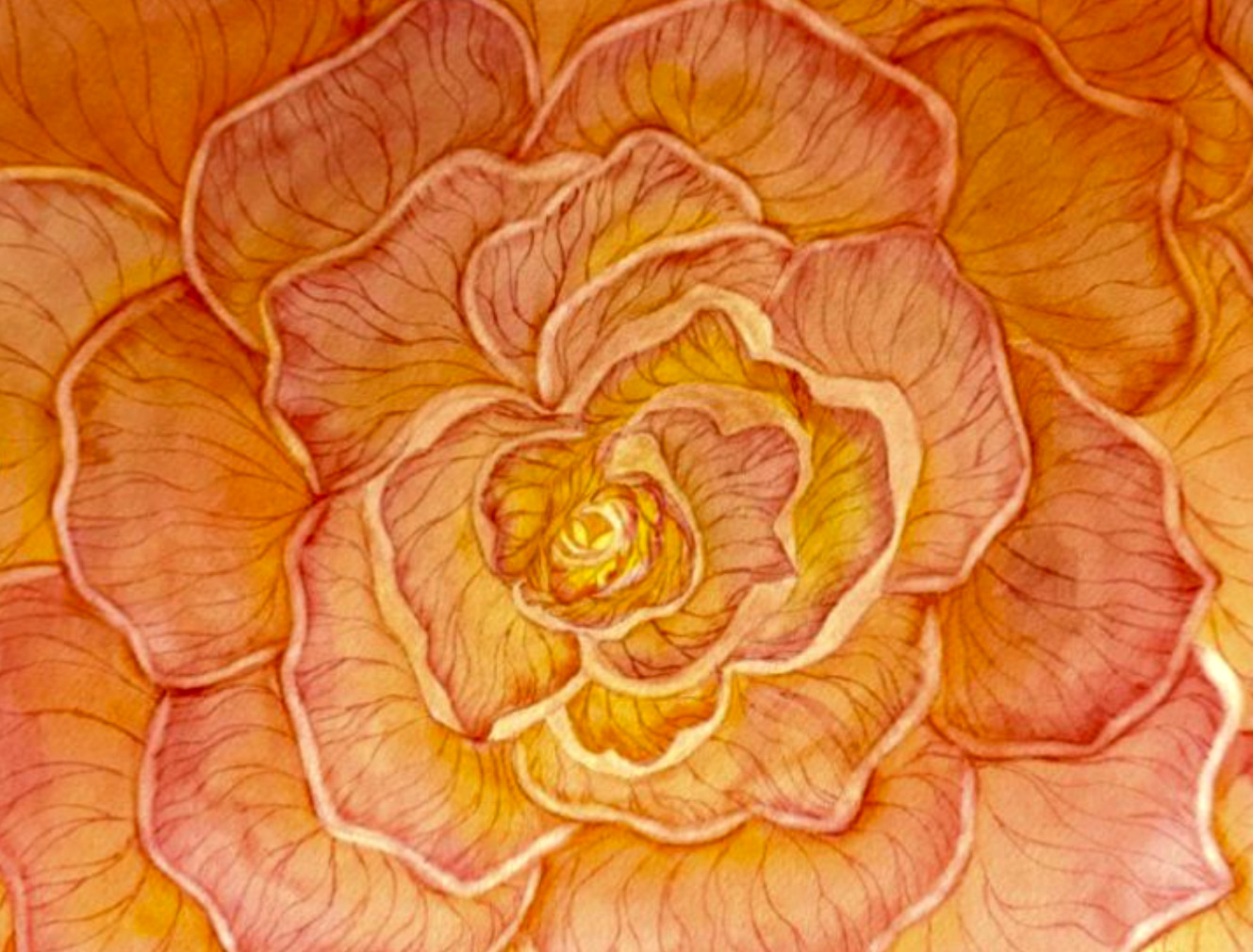 PAINTING WATERCOLOR 11X14 AND DOUBLE MAT 16X20 FLOWER ROSE ORANGE CORAL PINK