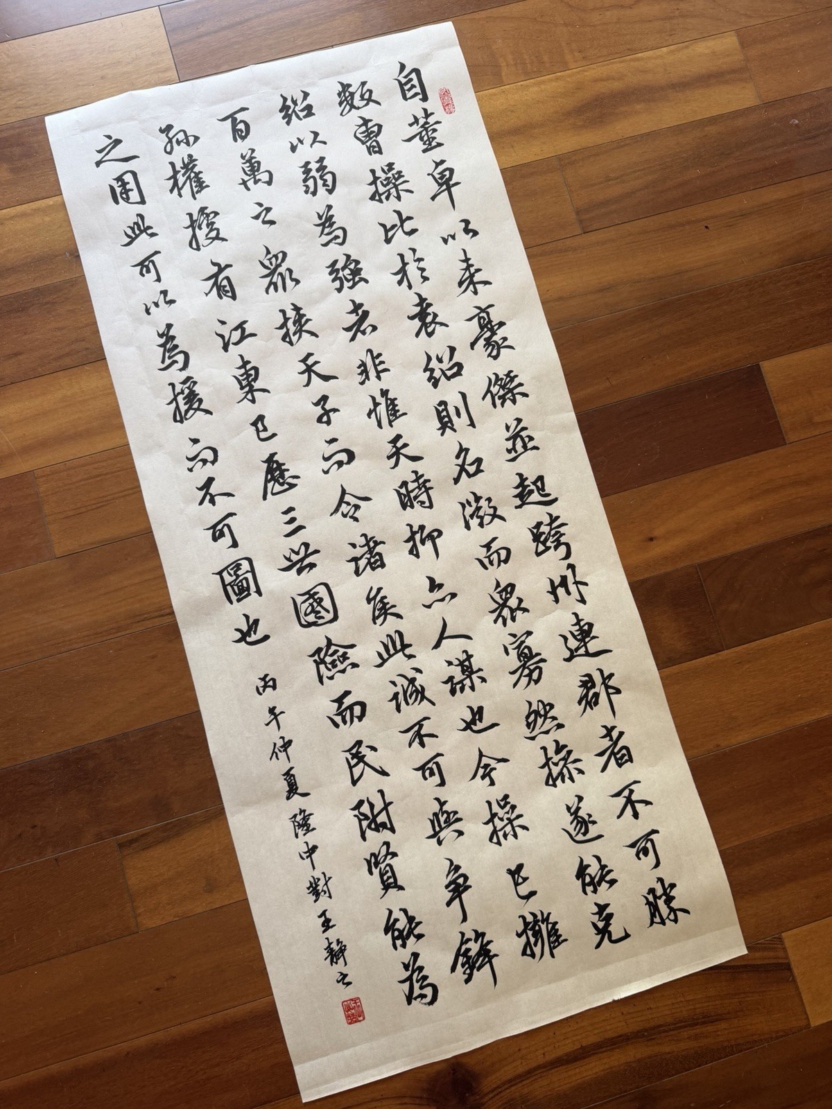 Unframed Chinese Calligraphy Freehand Longzhong Plan 隆中對2649