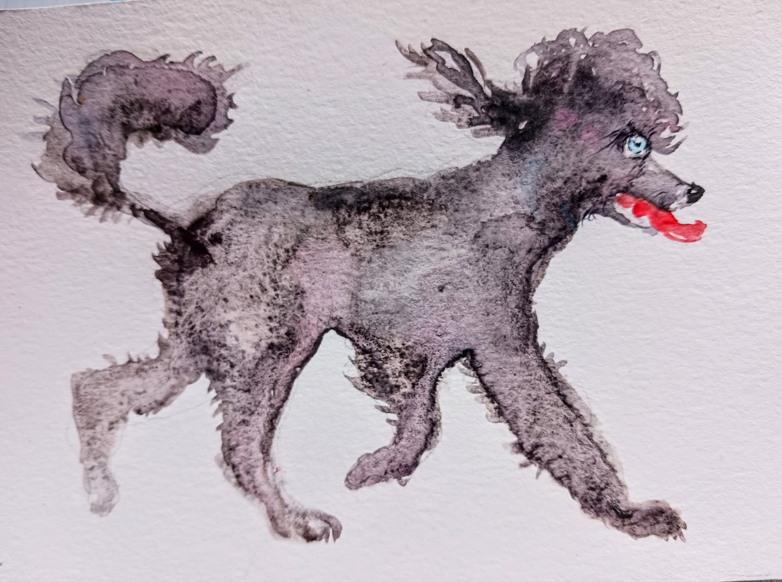 Original Painting Gray Standard poodle dog art,home design,dog lover gift 6×4″