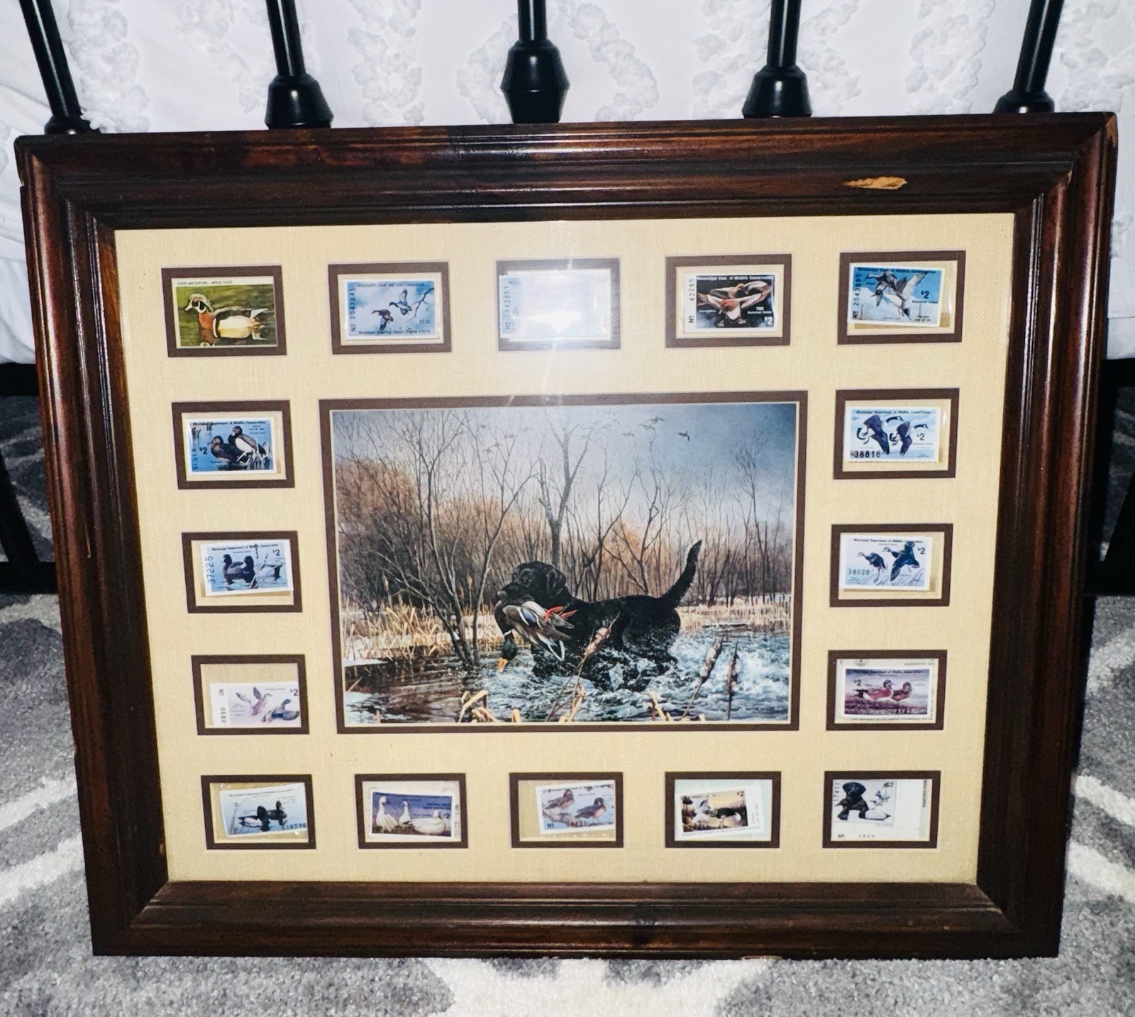 1977-1992 M. Wayne Willis Framed Wildlife Print, 16 Federal & State Duck Stamps
