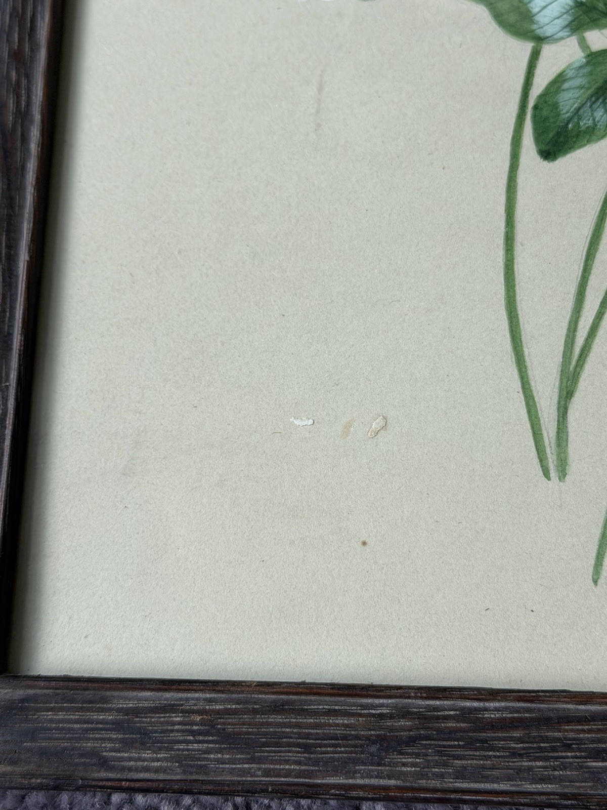 Antique Original Artwork Framed Watercolor Gauche Red & White Clover Bunch