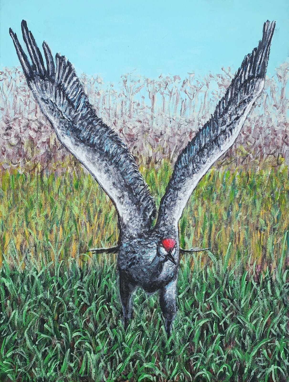 Sandhill Crane Taking Off Wildlife Bird Painting. Beautiful Original Art 16×12