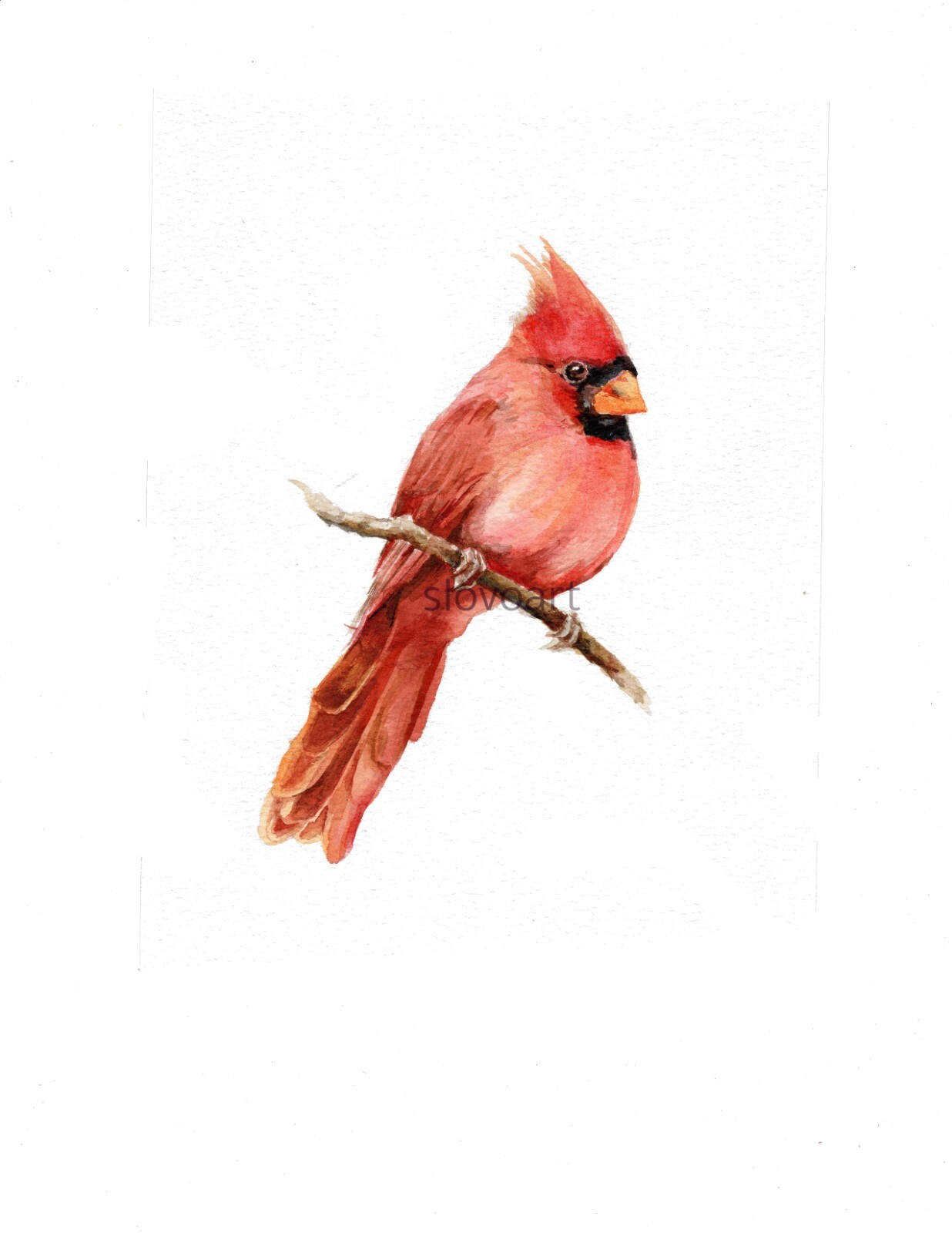 Red Cardinal. Print of an original watercolor painting. 3×4,5″ with w mat 5×7″