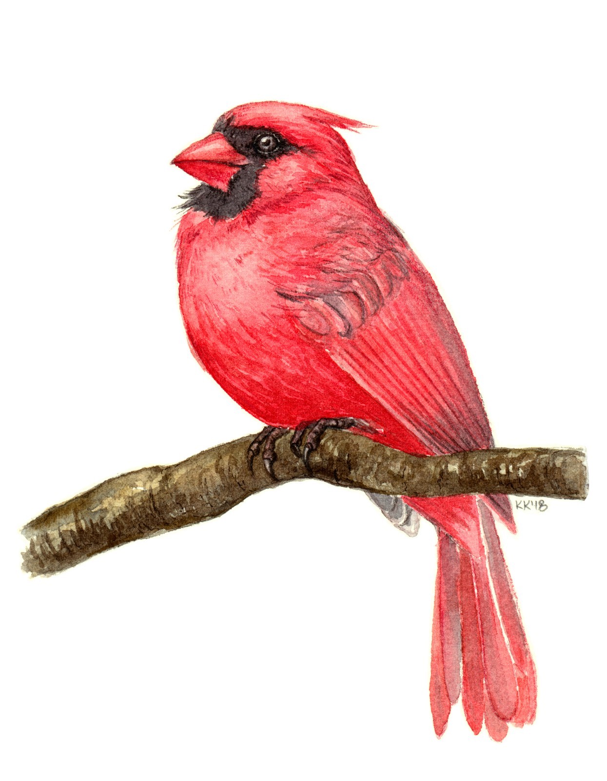 Cardinal bird on a branch watercolor painting original art