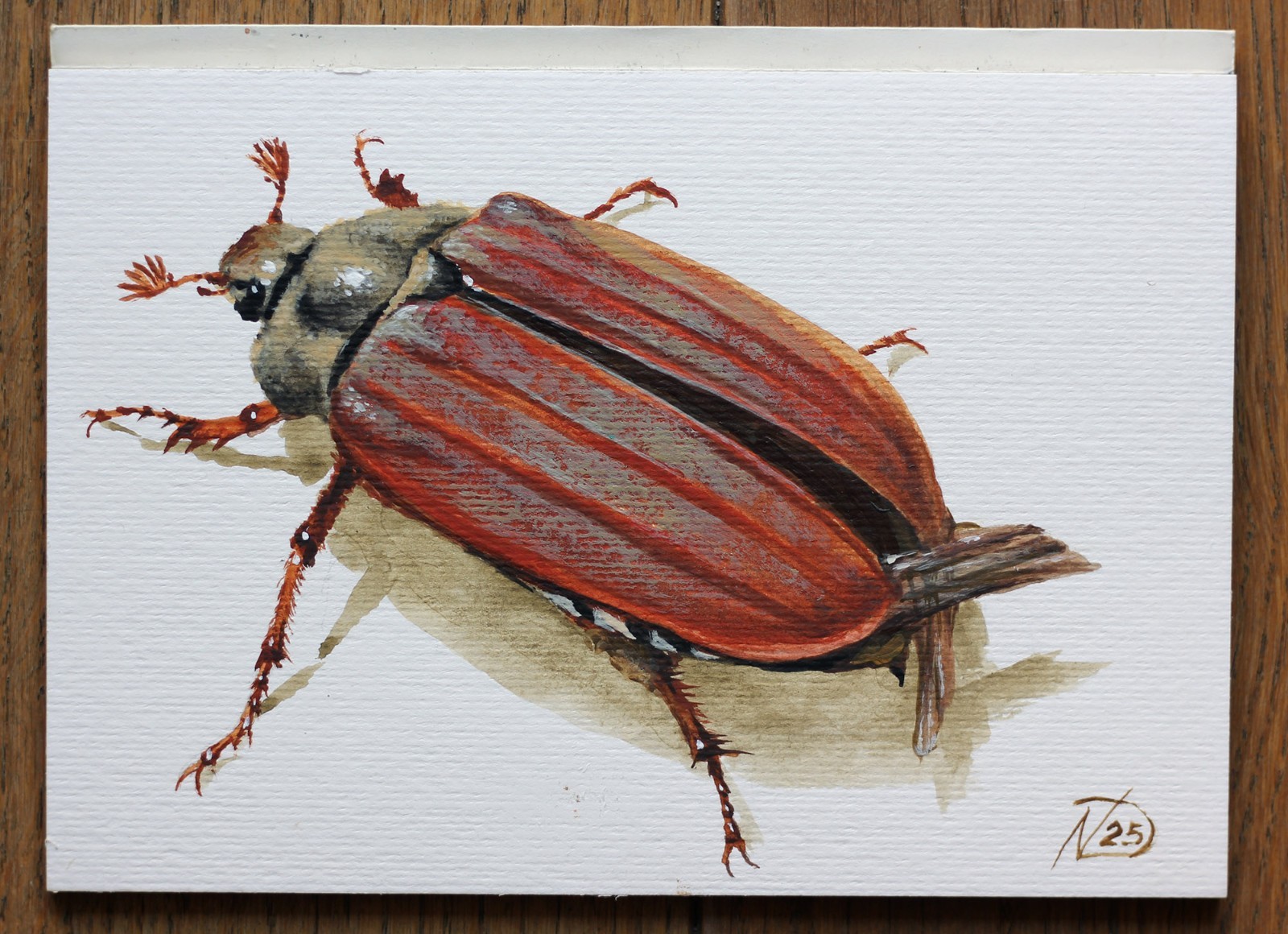 Maybug Beetle Painting Spring Insect Art Original Acrylic Nature Garden Decor