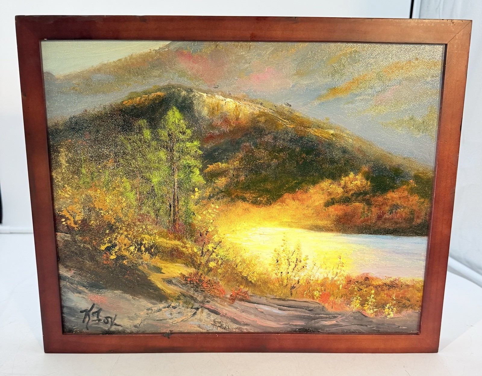 Original Framed Oil Painting By Artist Kathy Fox “All The Light That Shines”