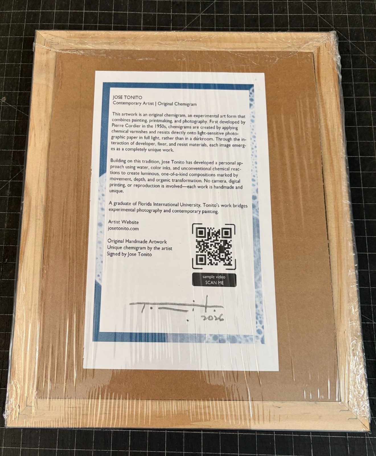 Tonito Original Chemigram painting.Organic surrealism.Framed & Gift Wrapped.ab2