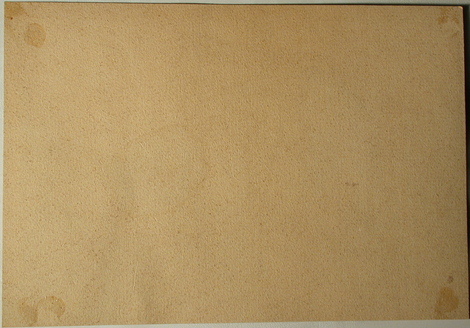 Max Neubauer (act.c.1890-1920) Vienna Währinger Line anno 1848.