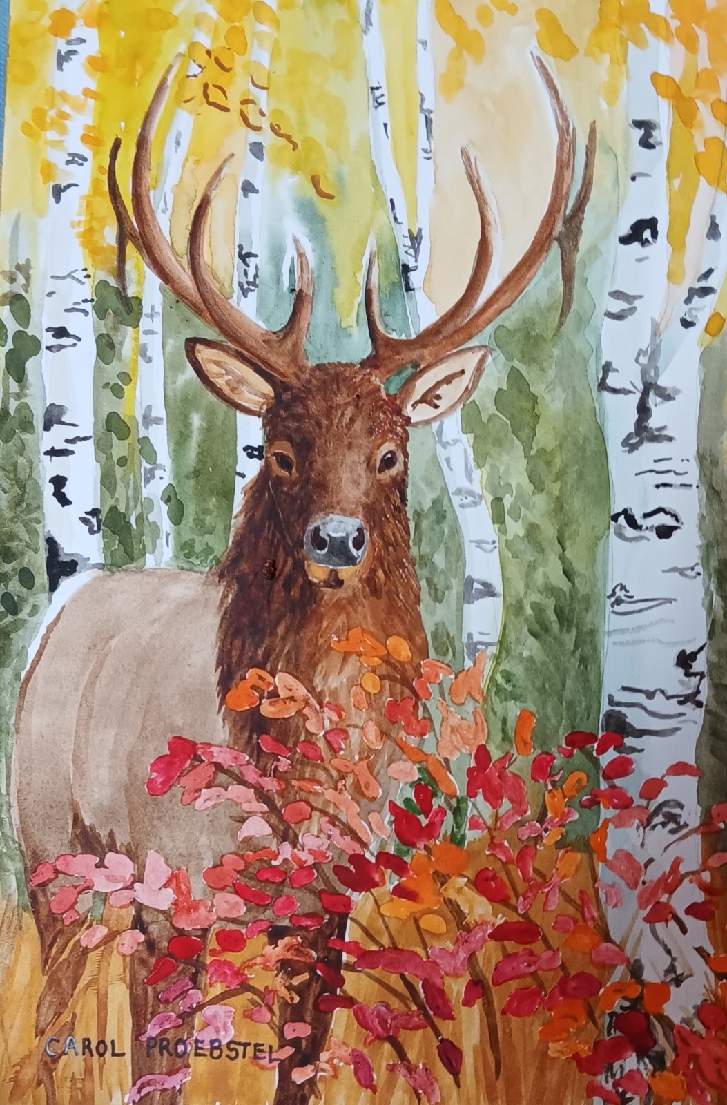 Original watercolor painting fall autumn wildlife bull elk Carol Proebstel