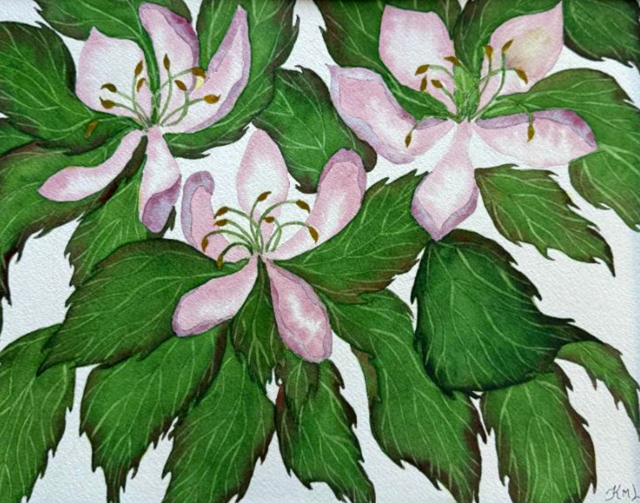 PAINTING WATERCOLOR 11X14 & MAT 16X20 FLOWER CHERRY BLOSSOMS PINK ORIGINAL ART