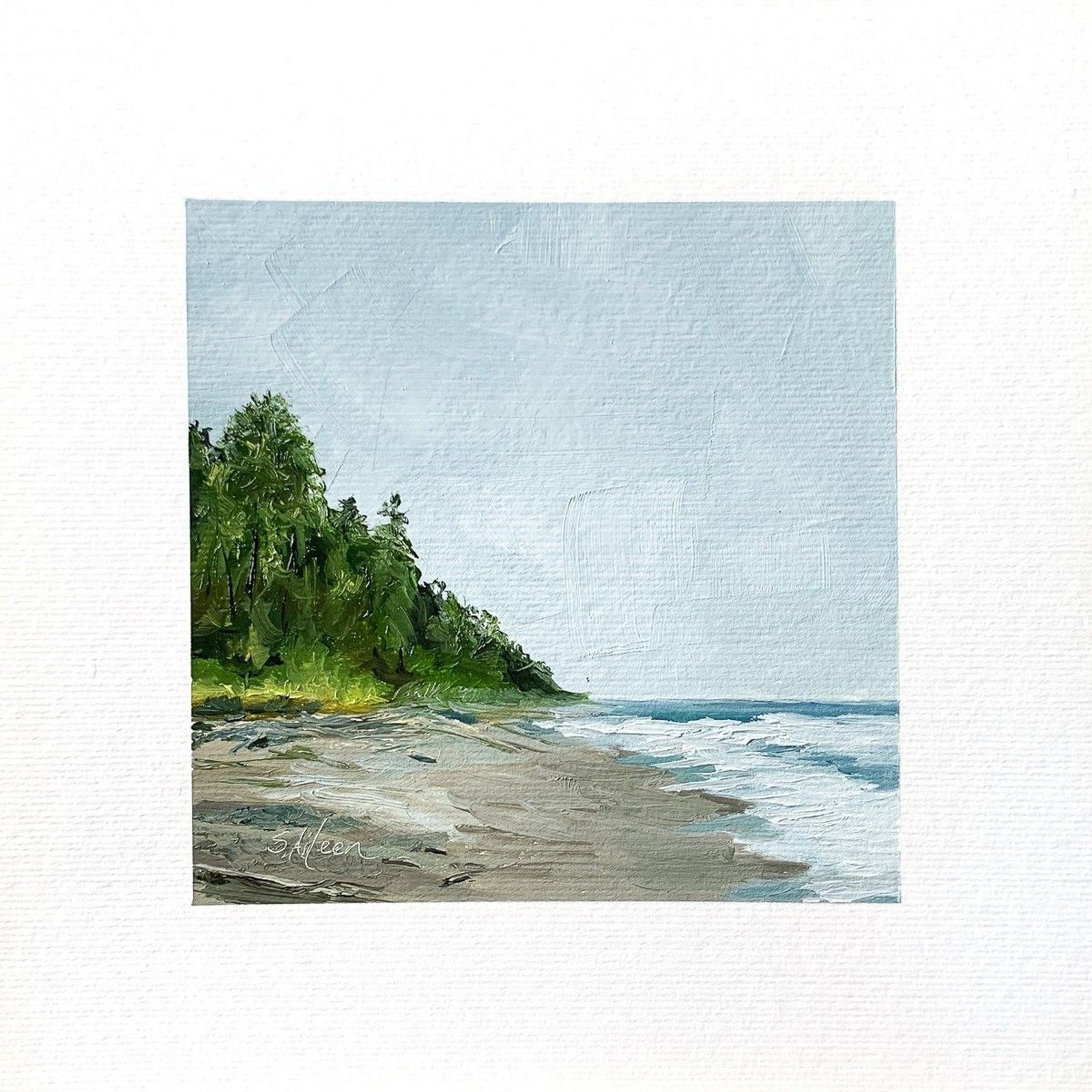 8×8 PNW Original Oil Painting Olympic National Park Coastal Seascape Art Signed