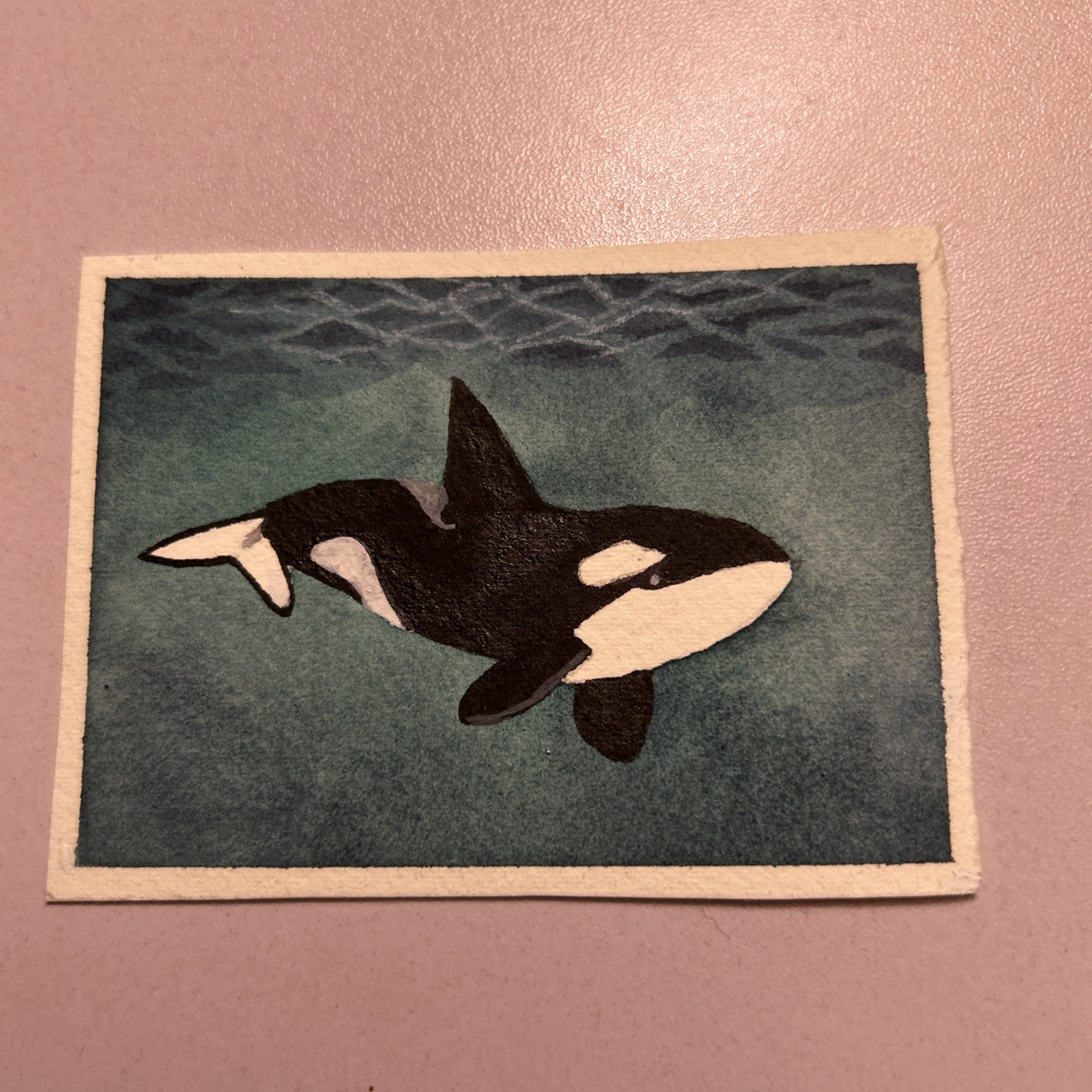 ACEO Art Card, Original, Killer Whale By Elizabeth Winegar, Free Shipping USA .