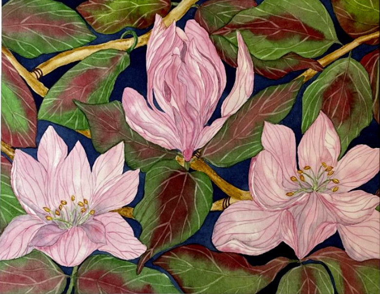 PAINTING WATERCOLOR 11X14 MAT 16X20 FLOWER MAGNOLIA PINK GREEN RED ORIGINAL ART