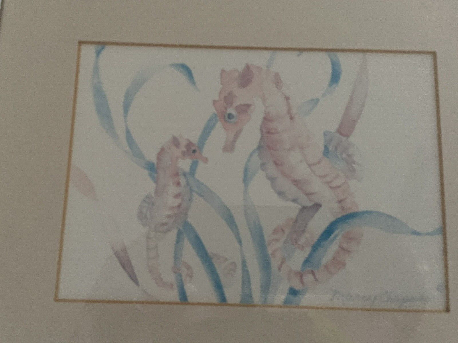 (3) Marcy Chapman Signed Matted Framed Art Print Watercolor Sea Life 9.5″x11.5″