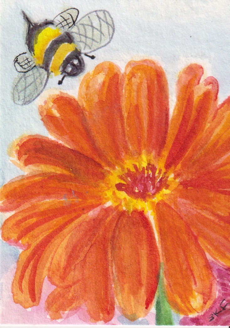 Original ACEO Bee, Colorful Orange Zinnia Watercolor Painting by Sharon Foster