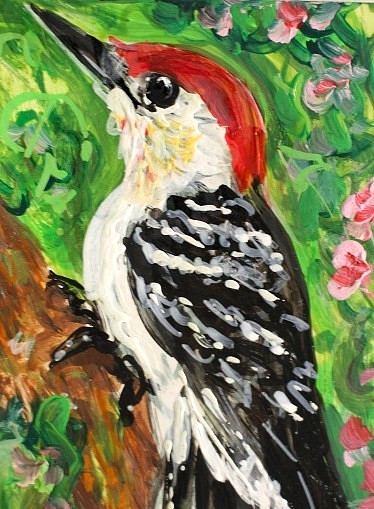 ORIGINAL ACEO PAINTING Red Bellied WOODPECKER Spring BIRD Animal Nature ATC ART