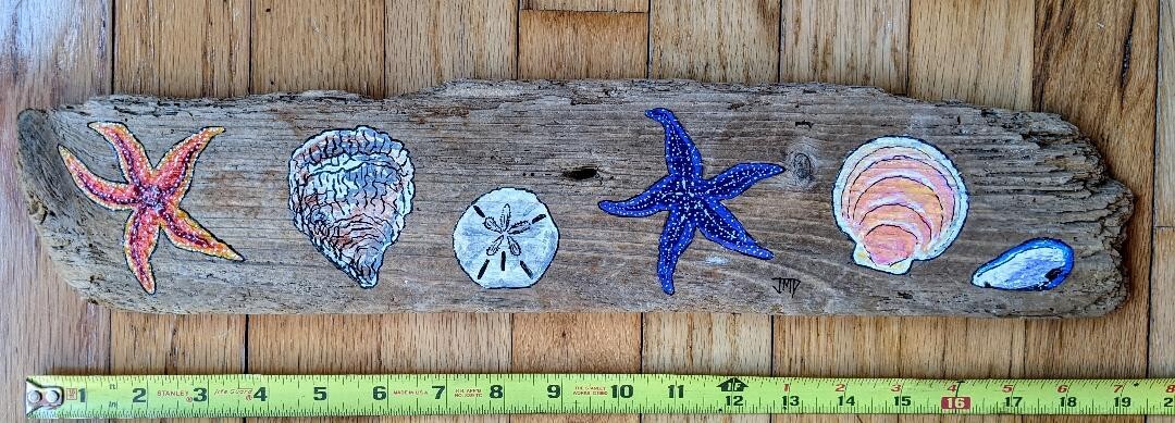 Original Seastar & Seashell Painting on Driftwood by Maine USA Artist