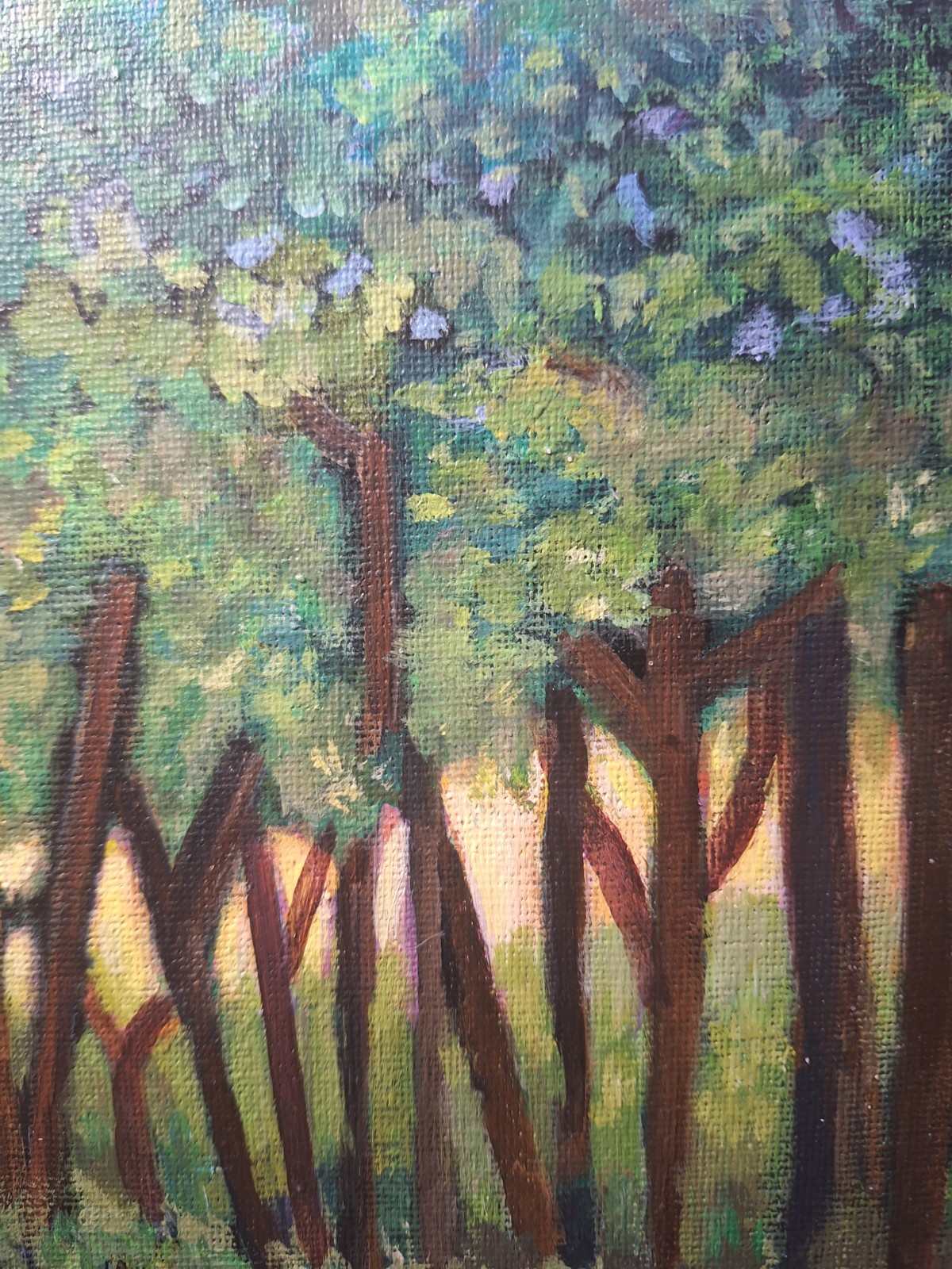Sun Through The Forest 8×10 Acrylic Canvas Panel Painting