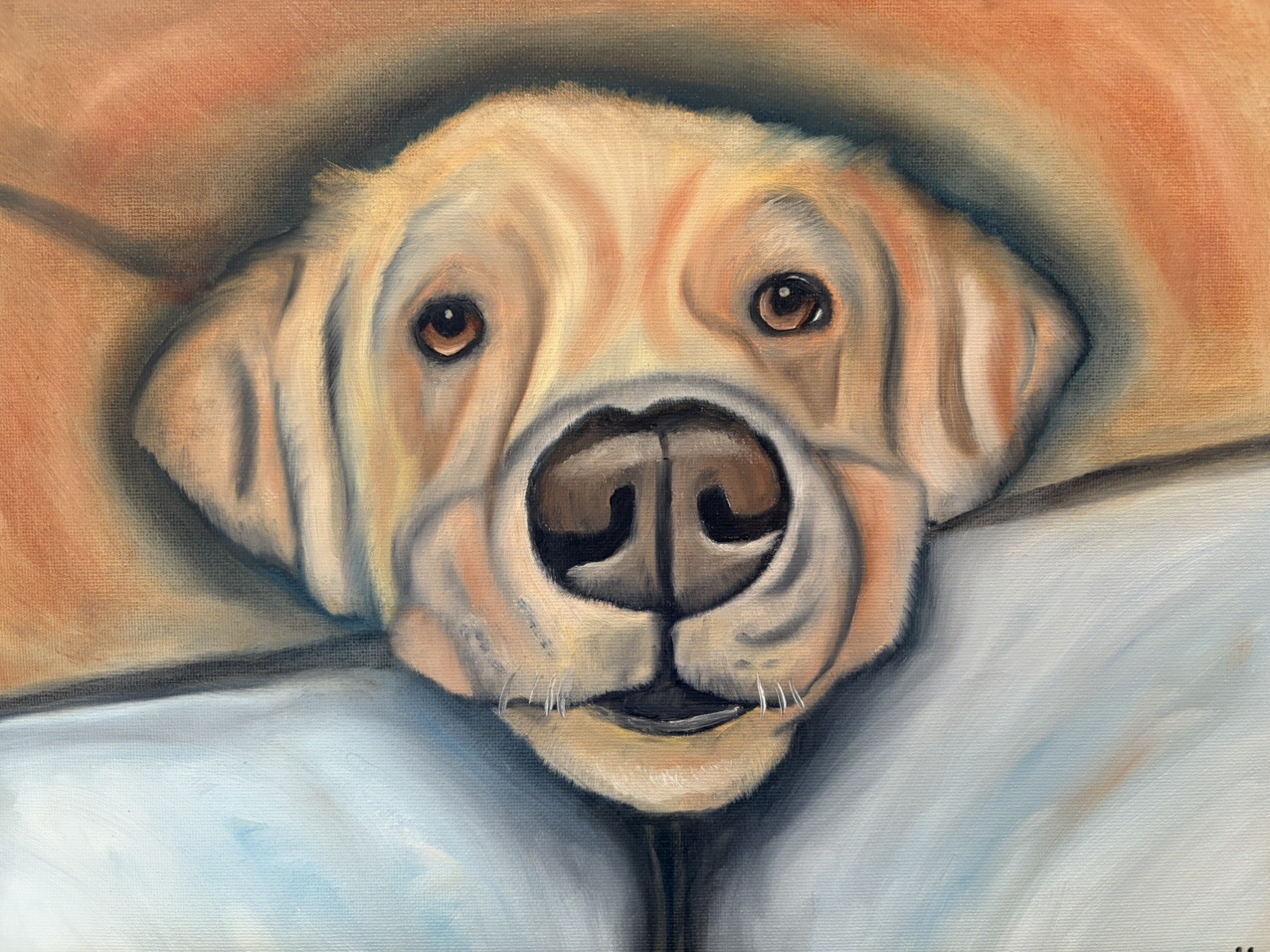 Original oil painting 11 x 14 inches handsome yellow Labrador retriever dog