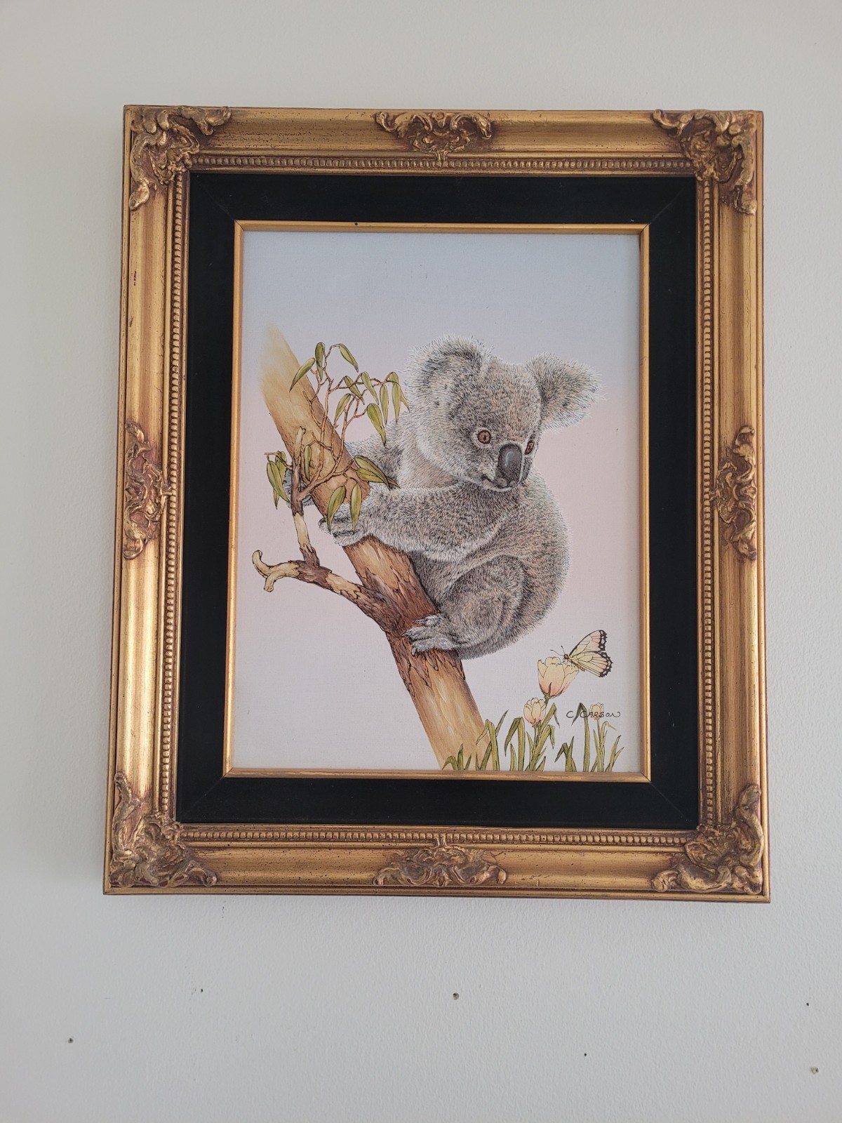 Vintage Oil On Canvas Koala On Tree Signed By C. Carson 22.5″×18.5″