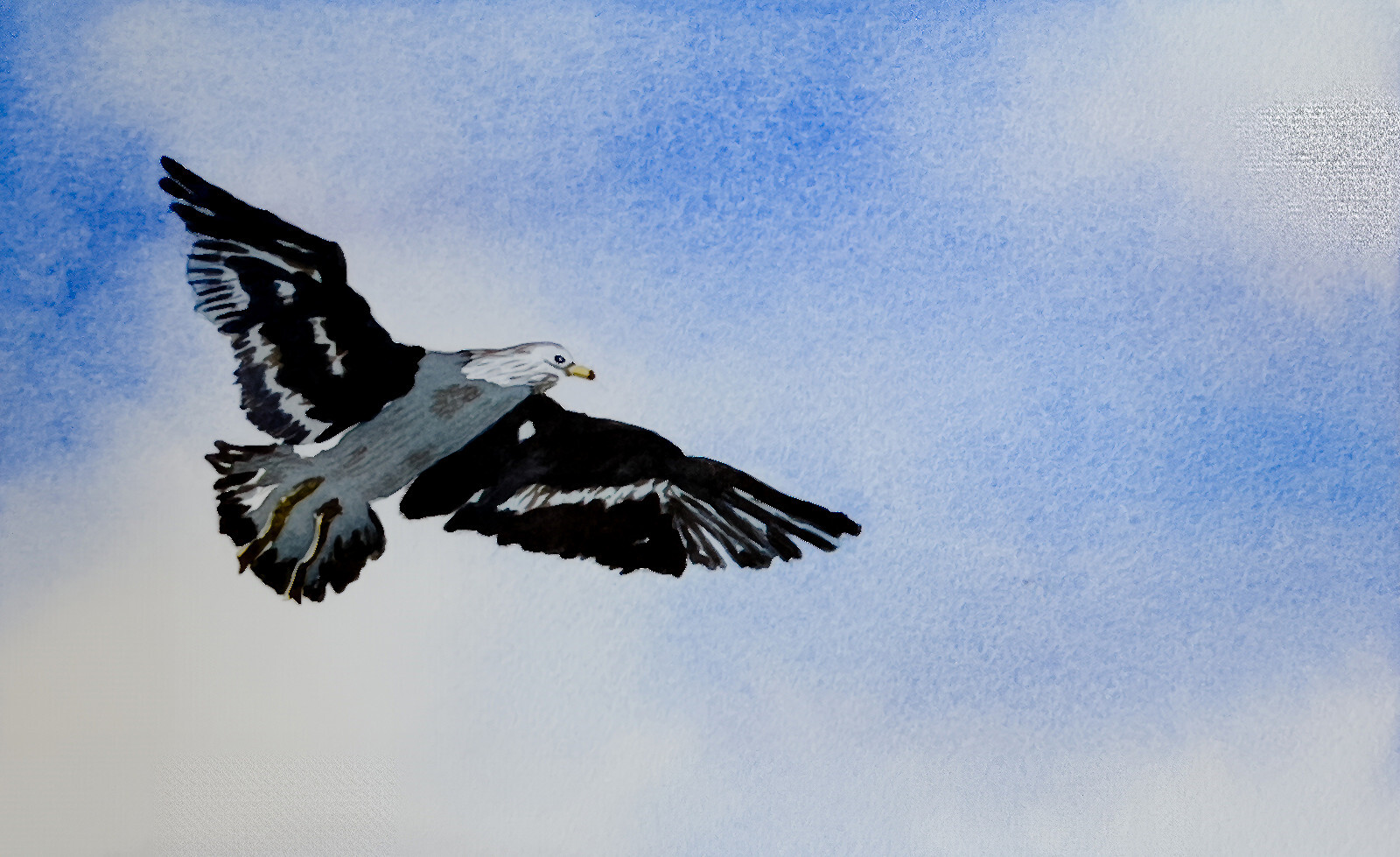 EAGLE ORIGINAL HAND PAINTED 11×7″ WATERCOLOR PAINTING ON PAPER