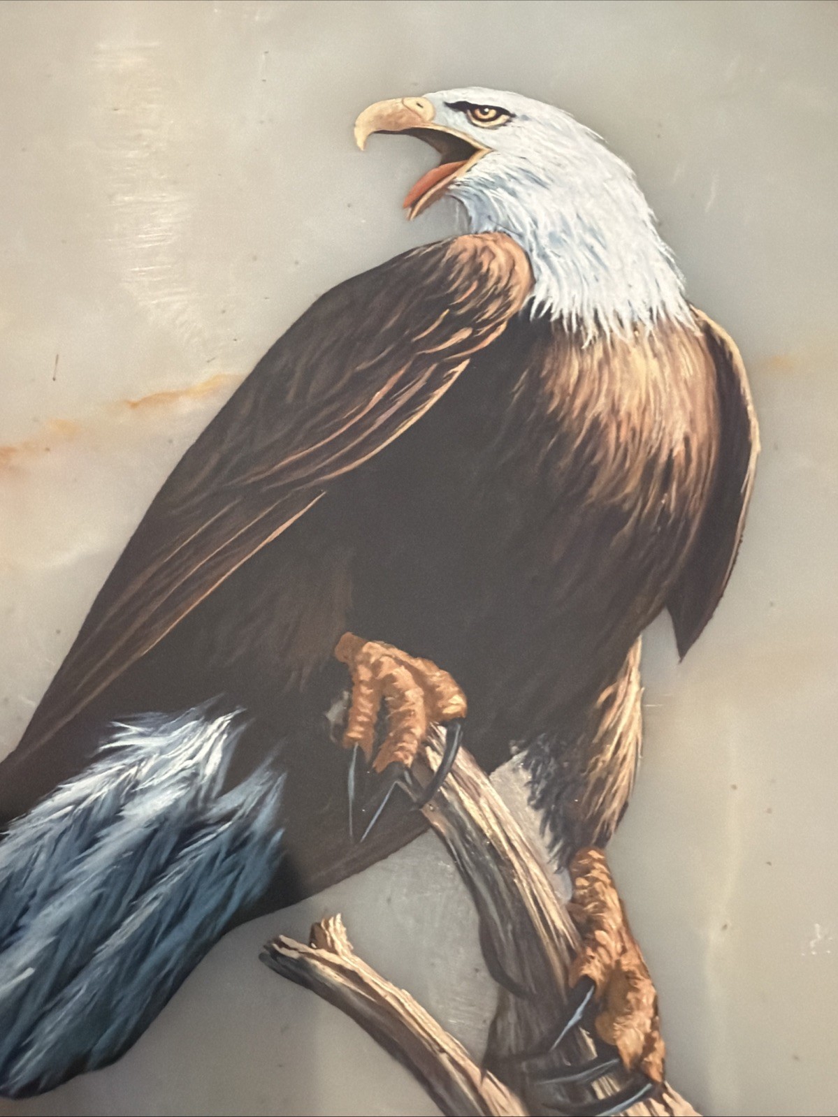 Eagle Hand Painted On Stone Slab