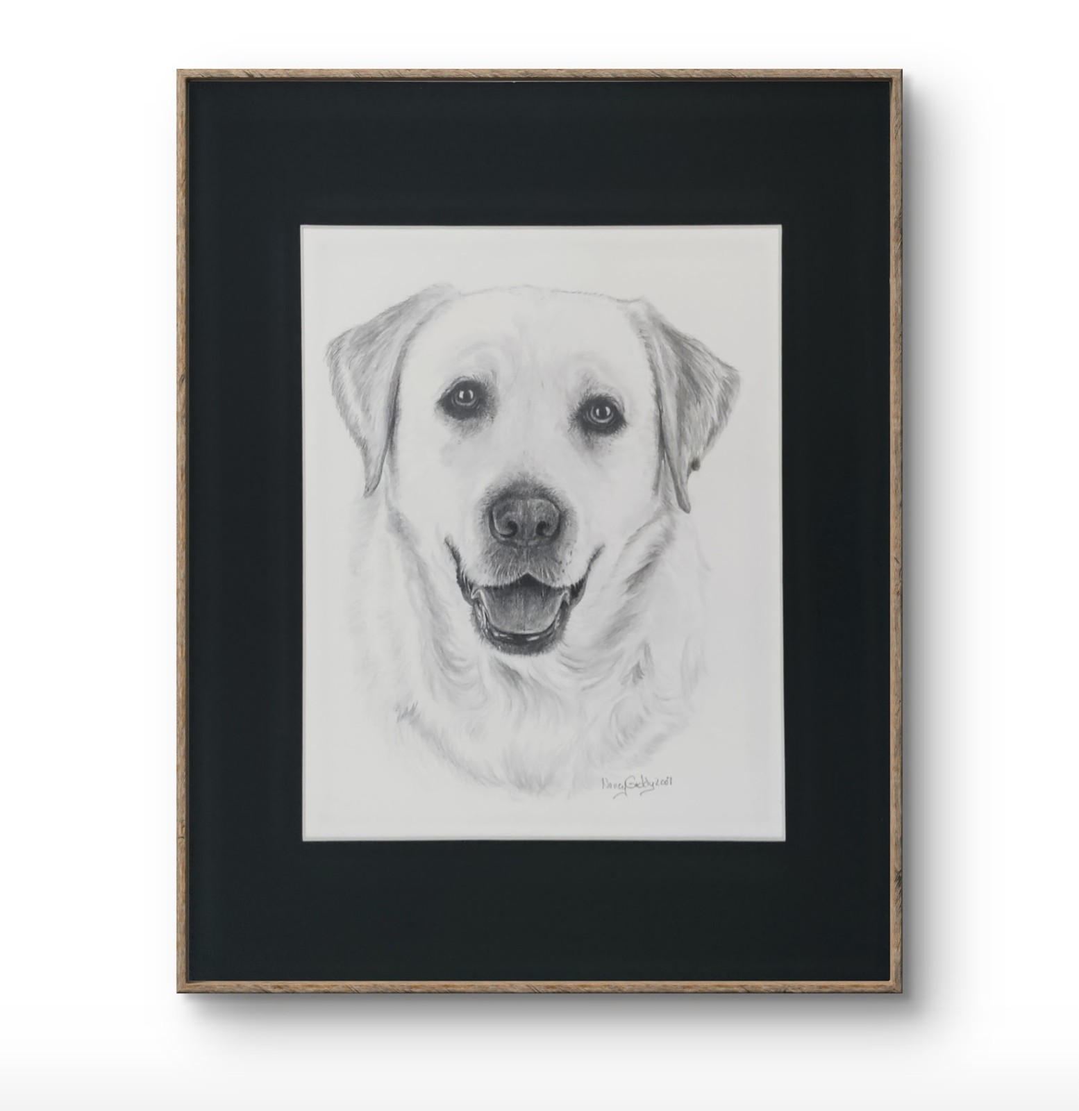 Original 14 x 11 Matted Labrador Dog Graphite Art Portrait Drawing