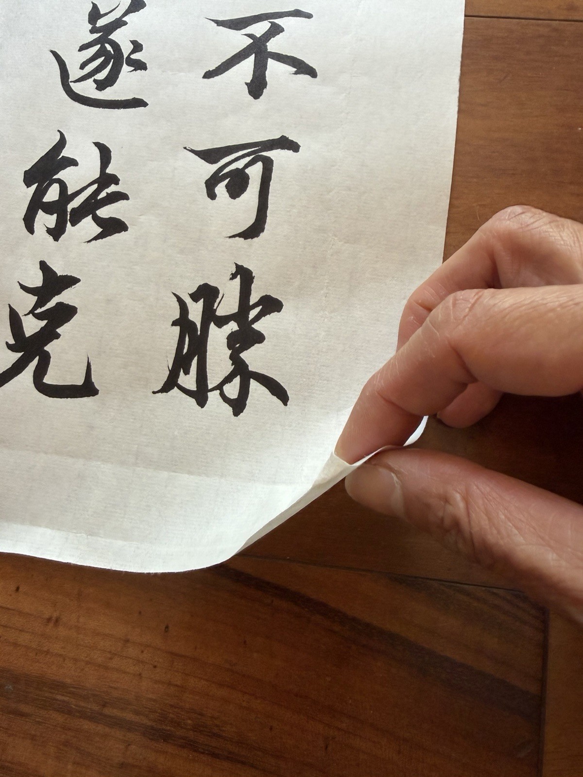 Unframed Chinese Calligraphy Freehand Longzhong Plan 隆中對2649