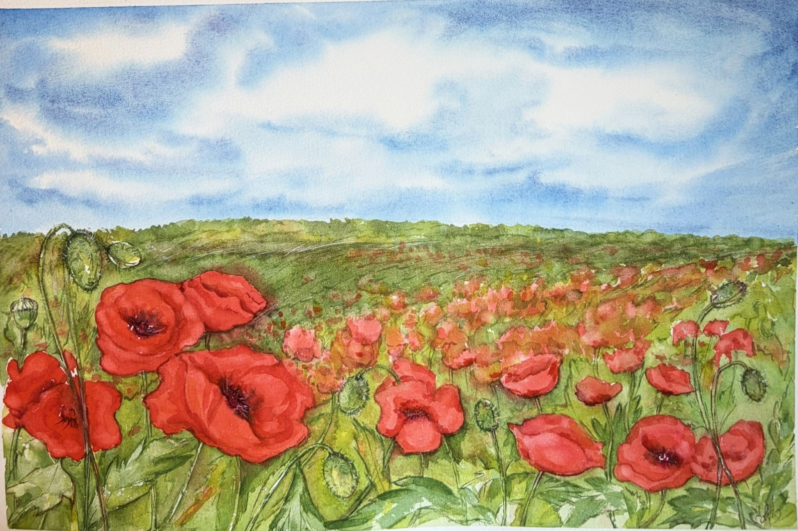 Summer Poppy Meadow Original Watercolor Landscape Painting