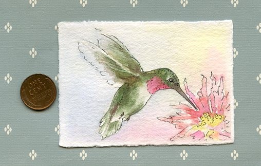 ACEO Original watercolor/pen & ink by Sandra Frantz»Ruby Throated Hummingbird»