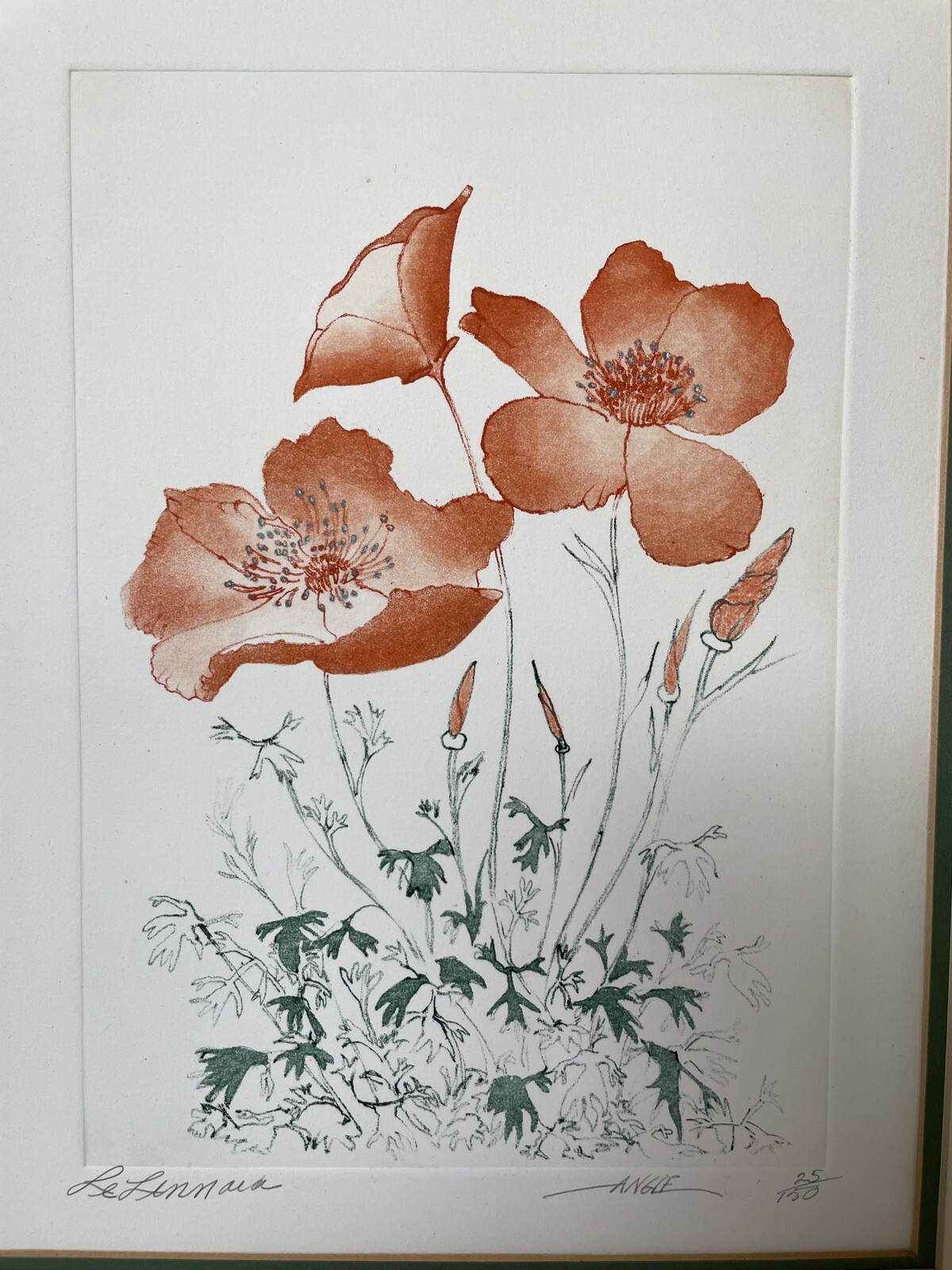 Angie ARTIST Signed Botanical Plant Wildlife Le Linnaea California Poppies Style