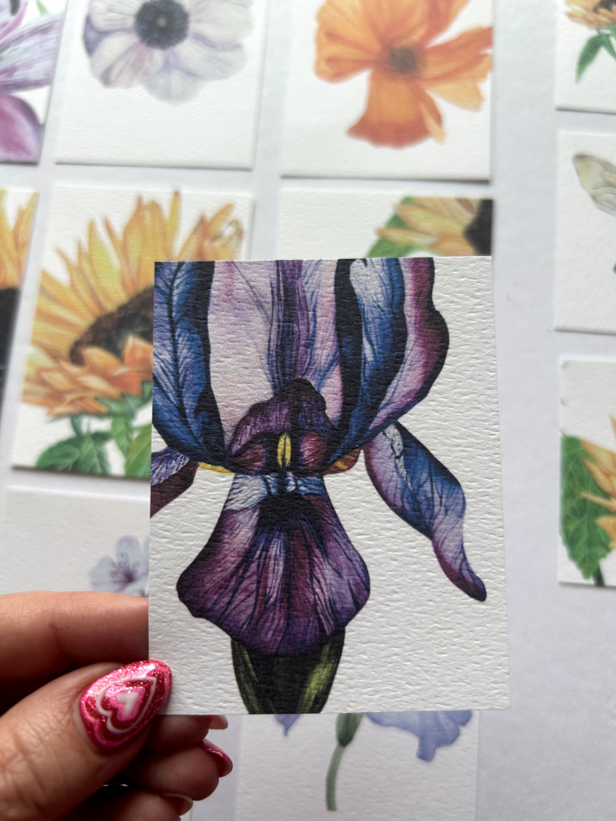 ACEO Edition- Print. Sawyer Crane Flower Watercolor Dark Purple Orchid Floral