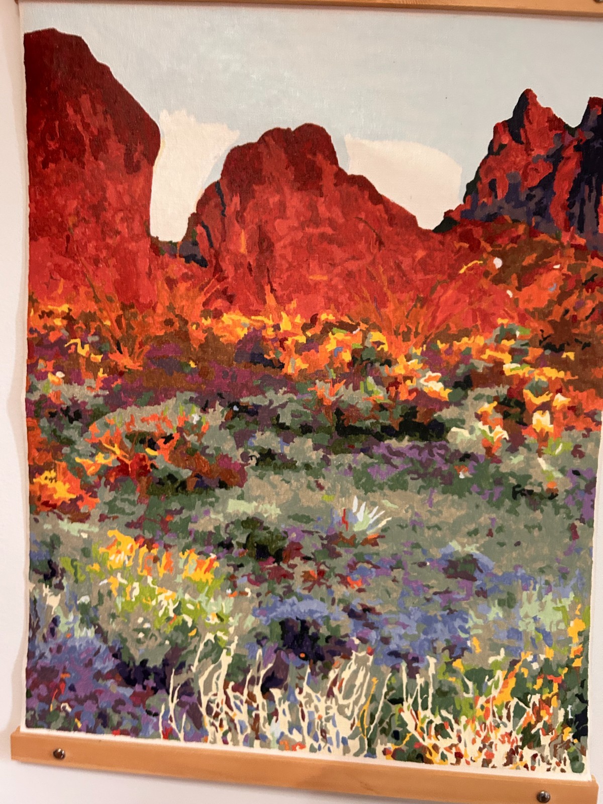 Colorful Mountain Range in Acrylic Paint – 20″ x 16″ – Wood and leather frame