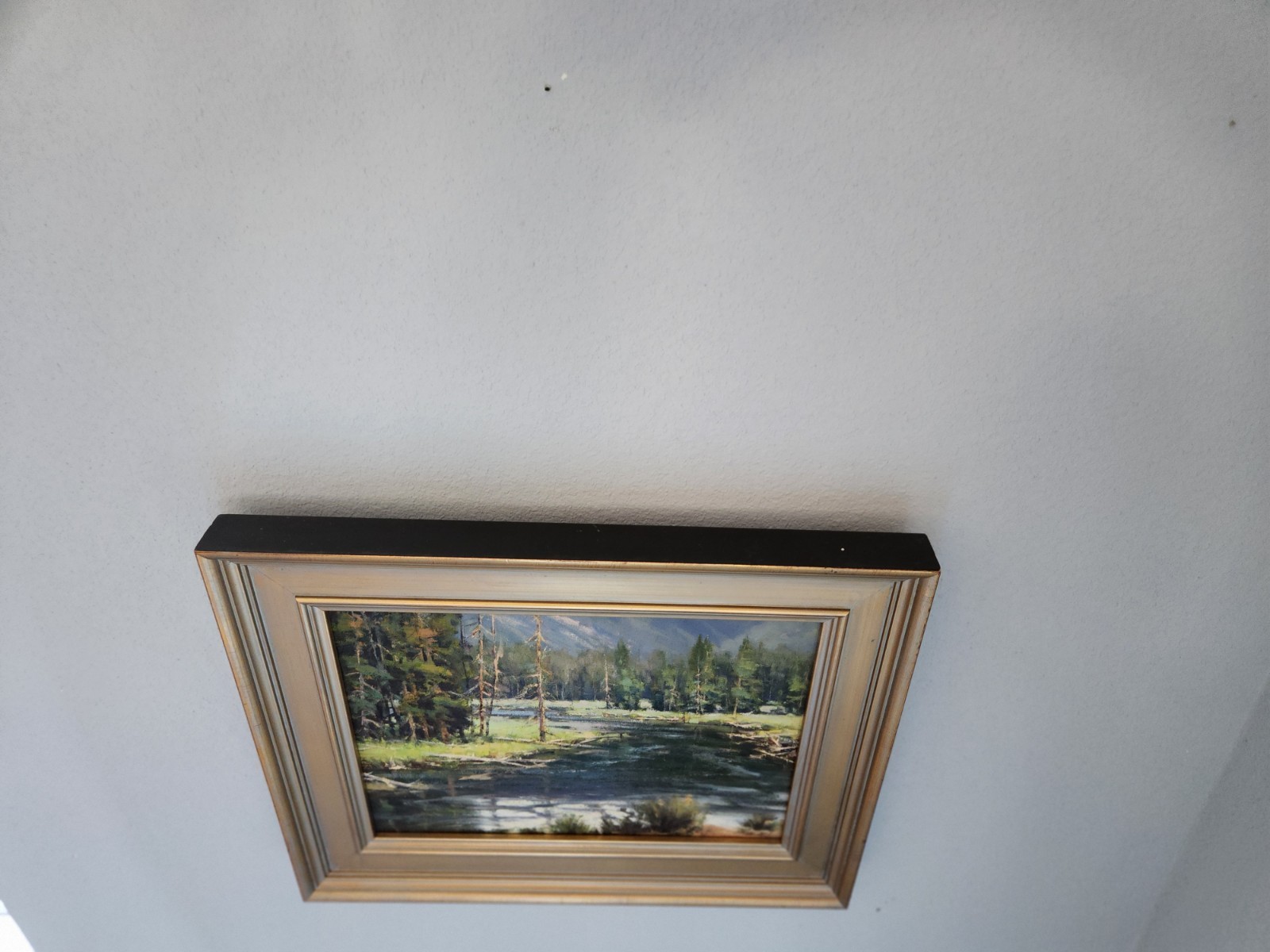 Bruce PEIL Signed Autographed 9×12. Subject Is Titled GIBBON PARK.