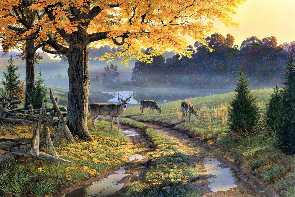Autumn landscape Deer Oil painting Wall Decor HD Giclee Printed on canvas P469
