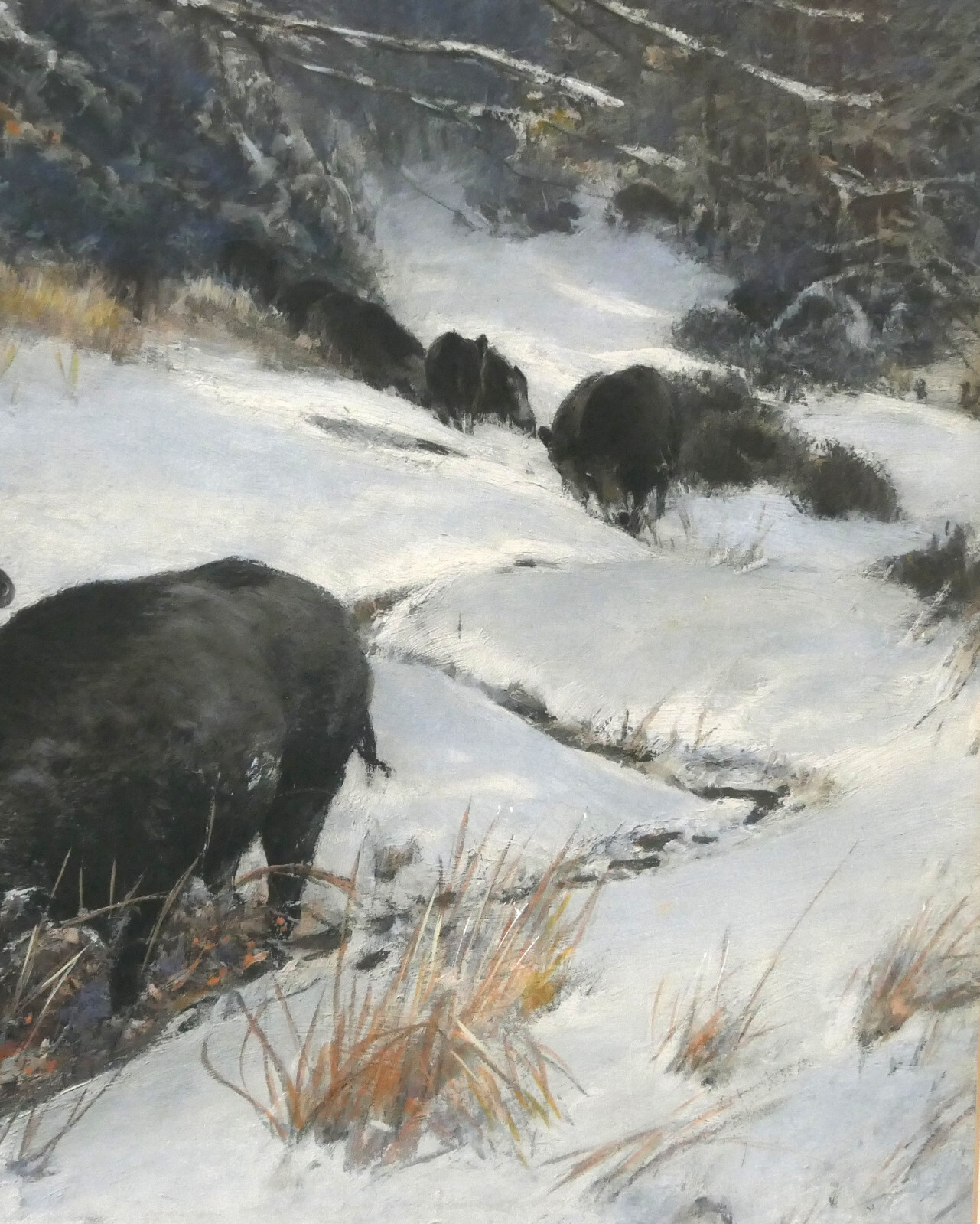 Christian Kröner Gouache – Paper «Wild Boar Rotto» 1893 Framed 53.5 x 37.5 cm