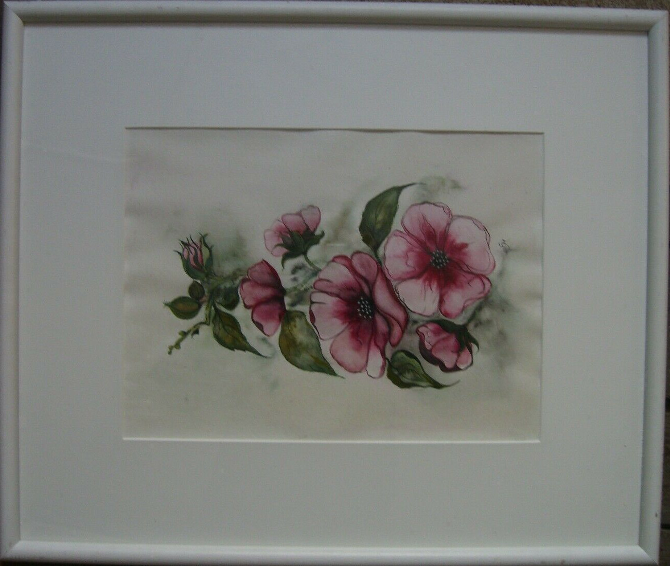 Monogr. Wild Roses Bloom Pink Leaves Green Thorns Buds Seeds Watercolor Antique