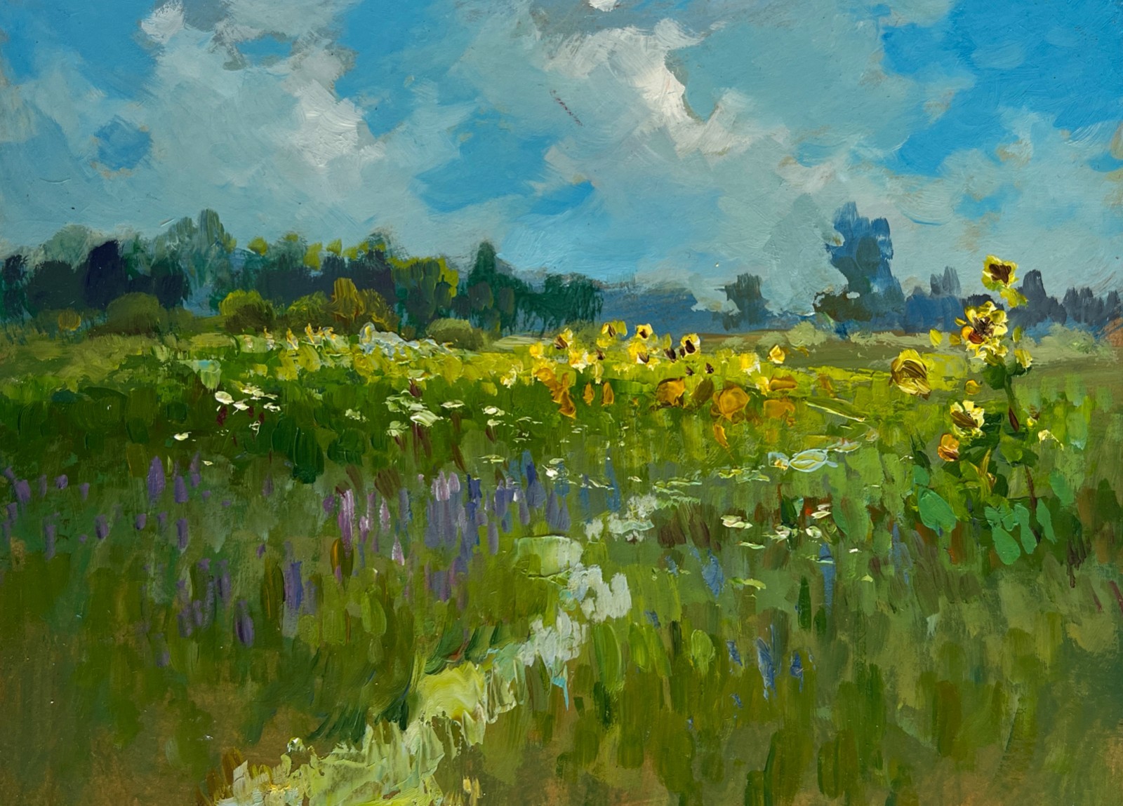 Oil Painting Sunflower Fields Y. Suprunchuk Unframed Original nAAA4439