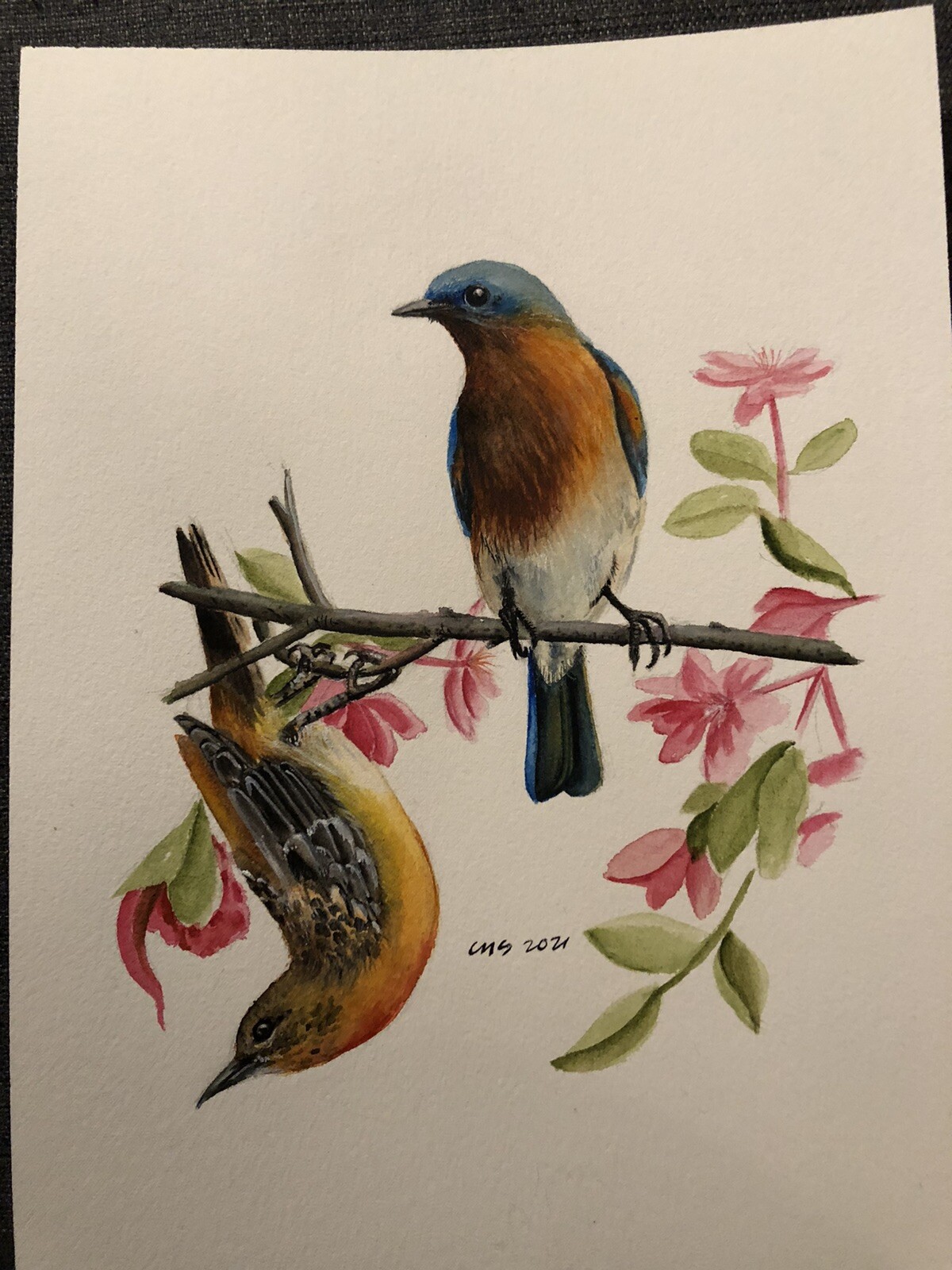 Blue Birds: 9×12 Original Watercolor Painting