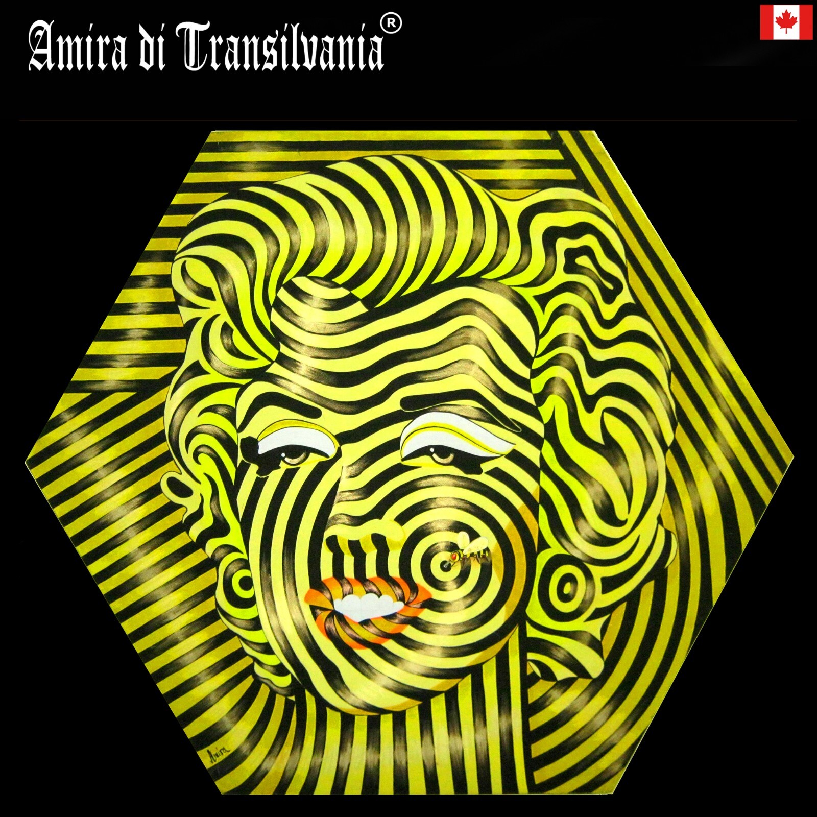 pop art marilyn monroe painting contemporary modern decorative design artist art