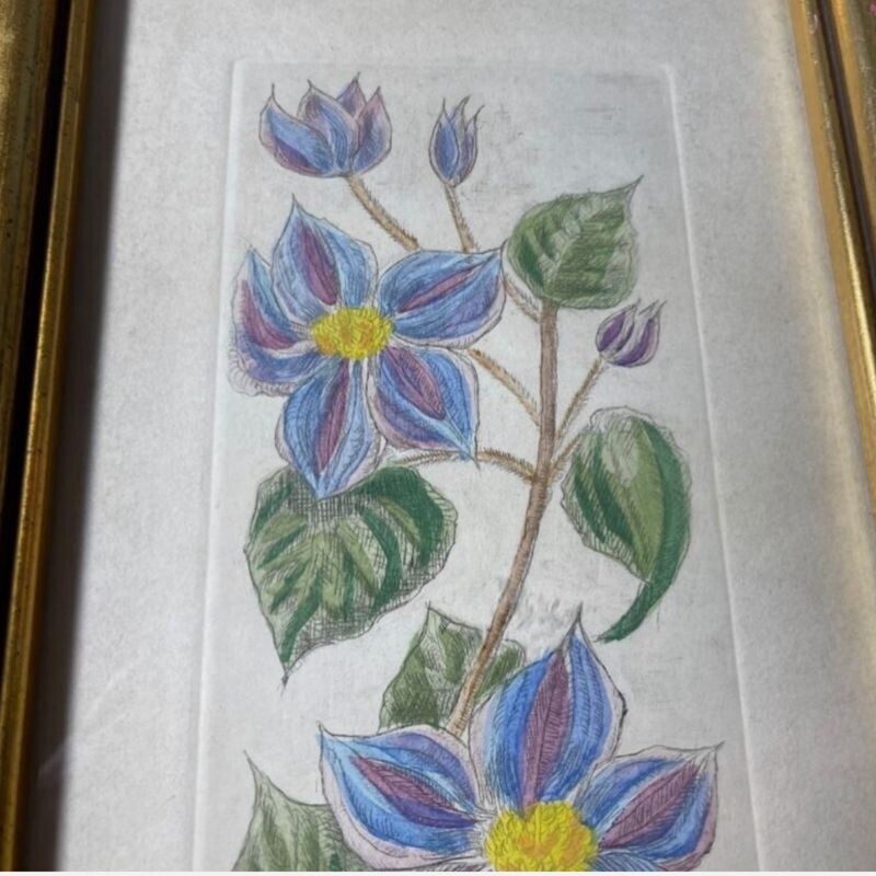 Vintage Original Flowers Drawing signed and named by the Artis 9 x 15 in