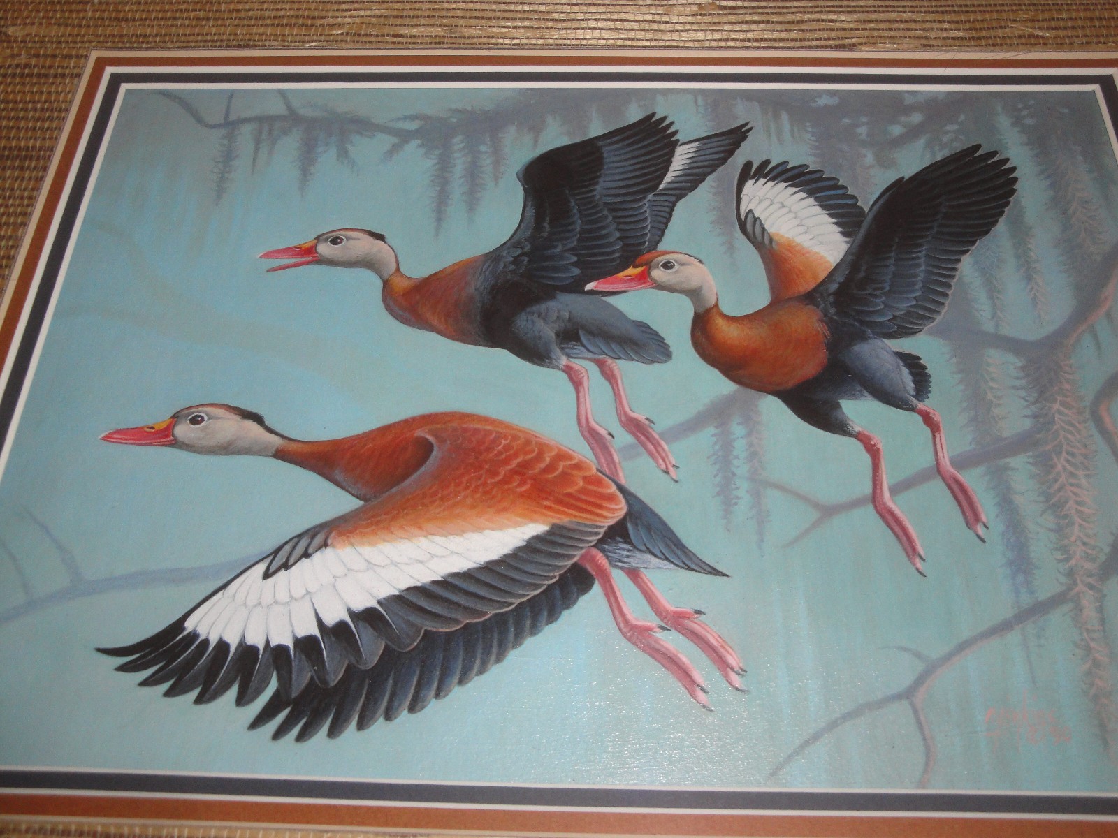 Federal Duck Stamp Winner Ron Jenkins Original Duck Stamp Entry LOOK!