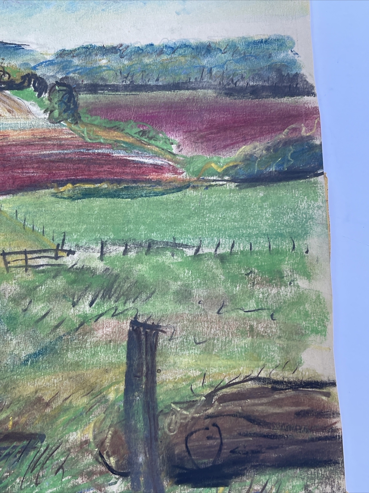 MID CENTURY DRAWING FAMOUS JO CAIN American Antique Wpa REGIONALISM Landscape