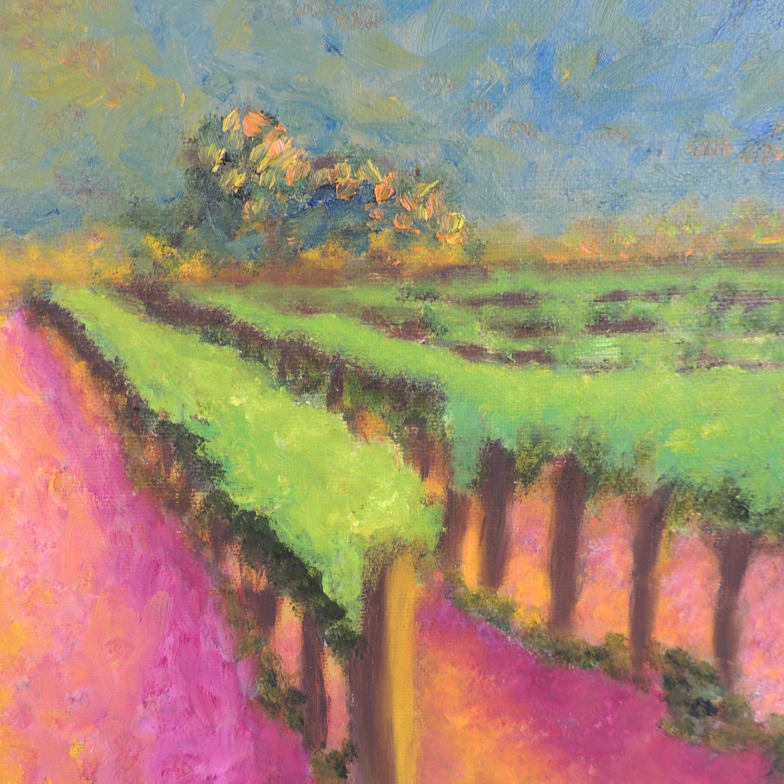 Original Painting Springtime Vineyard in the Foothills Brilliant Colors Framed