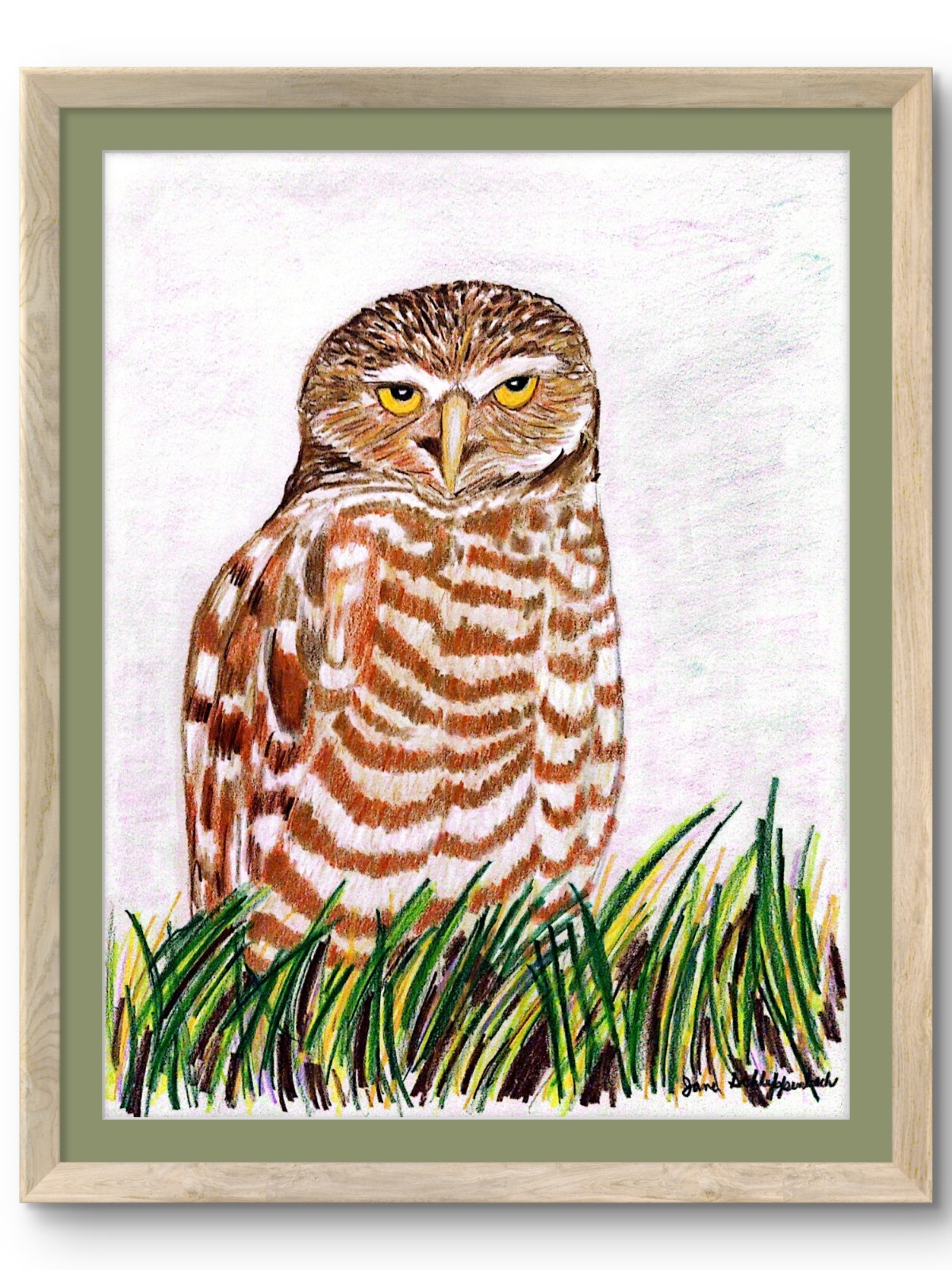 Realistic Prismacolor Contemporary Owl Original 8.5×11 Cardstock Wall Art